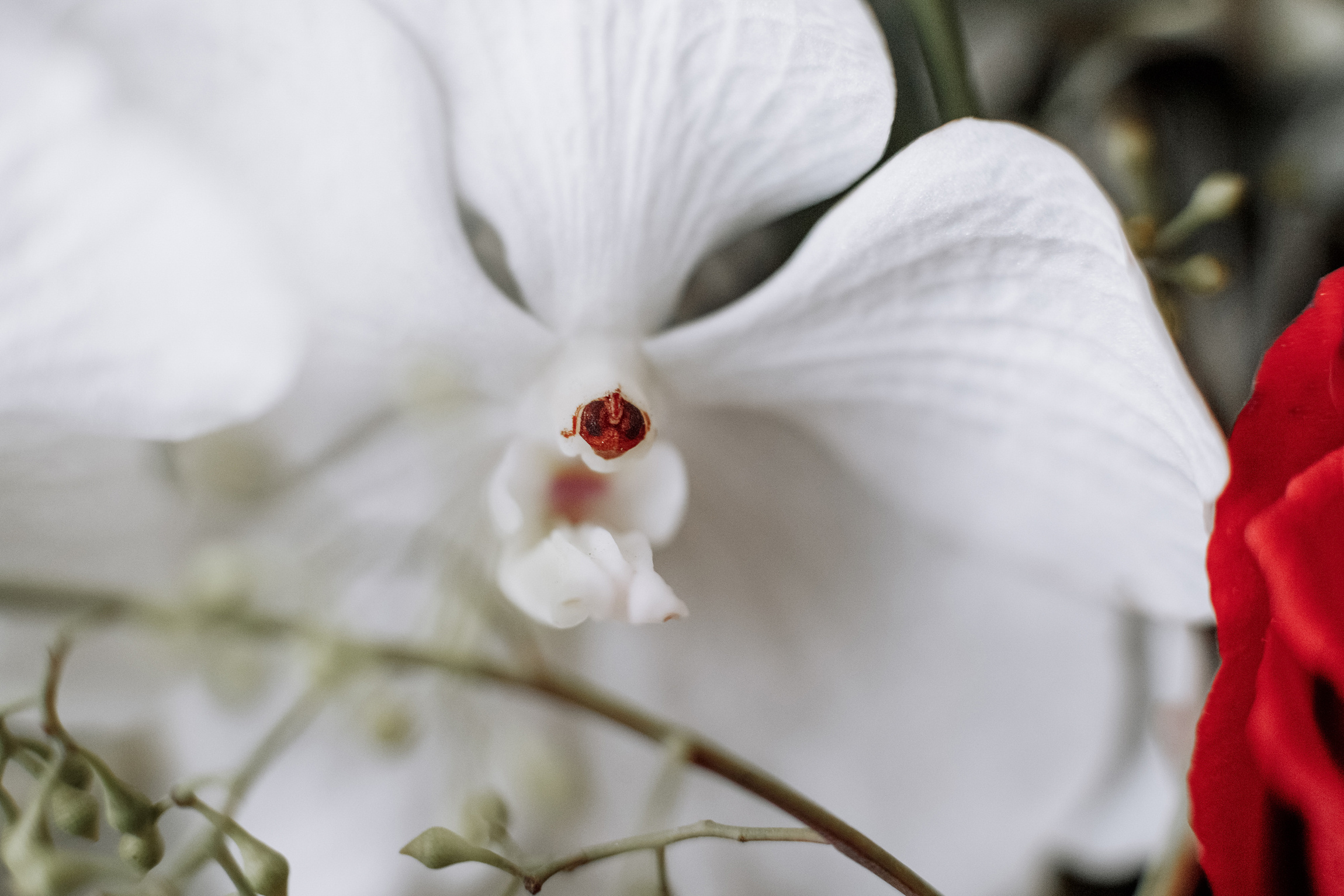 Фотограф Анна Руданова. Артем и Таня