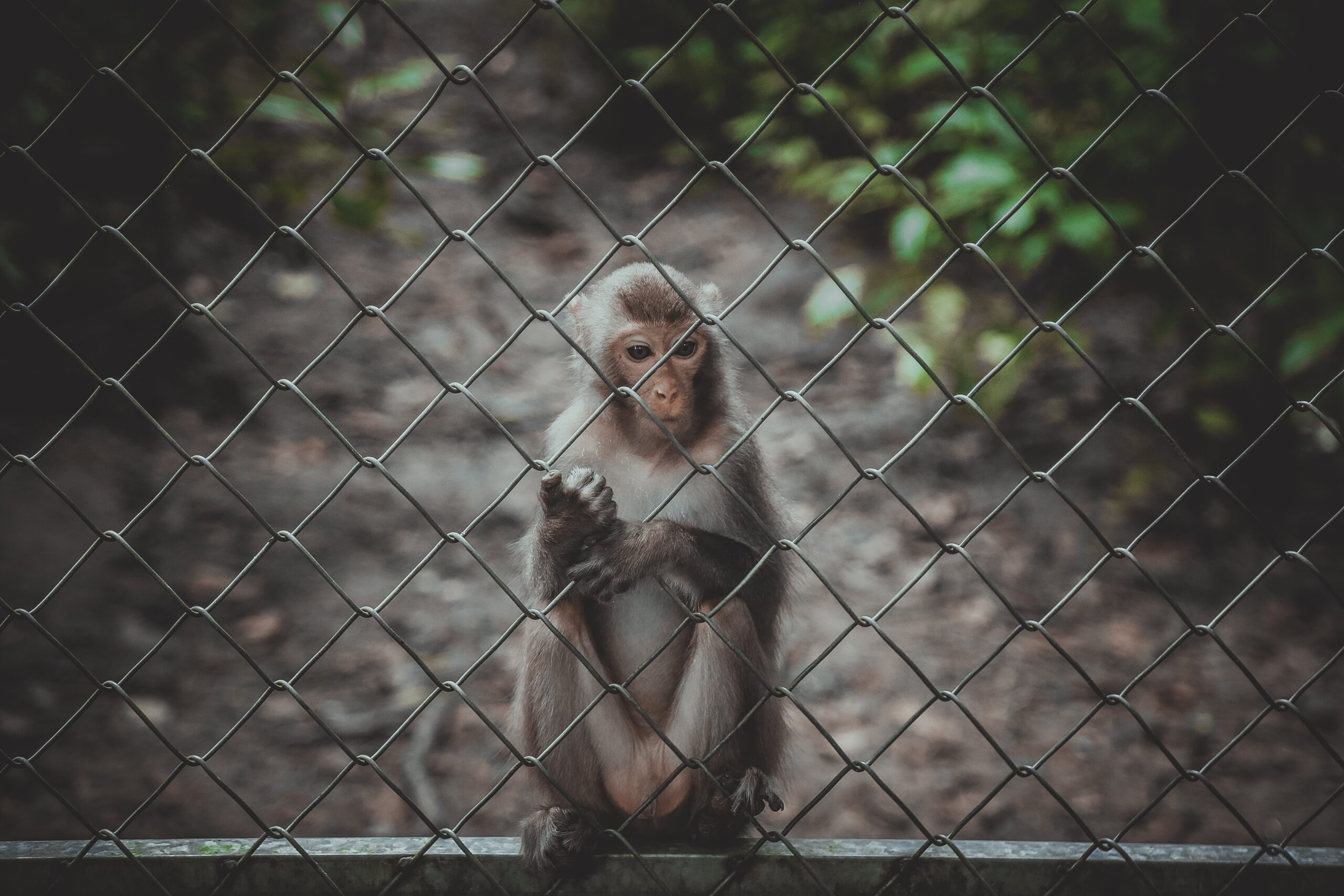 Landscape. Noam Paradise Photographer