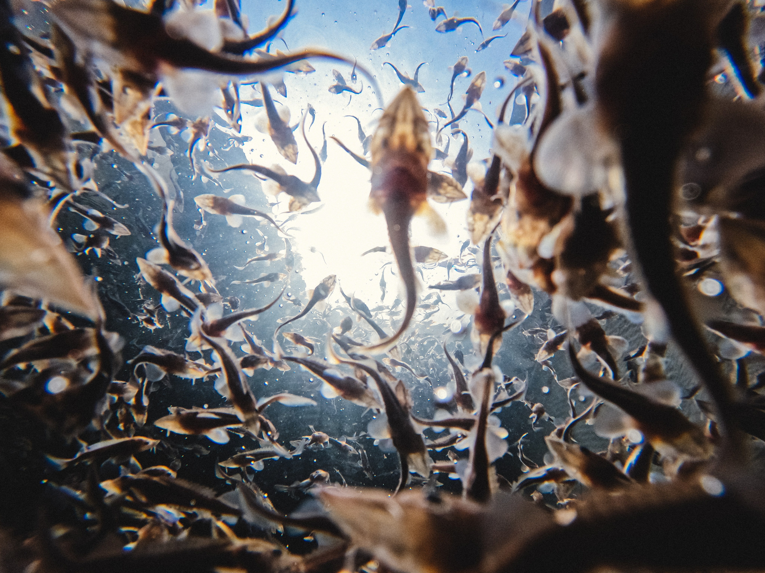 ДОКУМЕНТАЛЬНАЯ \ ФОТОЖУРНАЛИСТИКА. Документальный и коммерческий фотограф Влад Некрасов