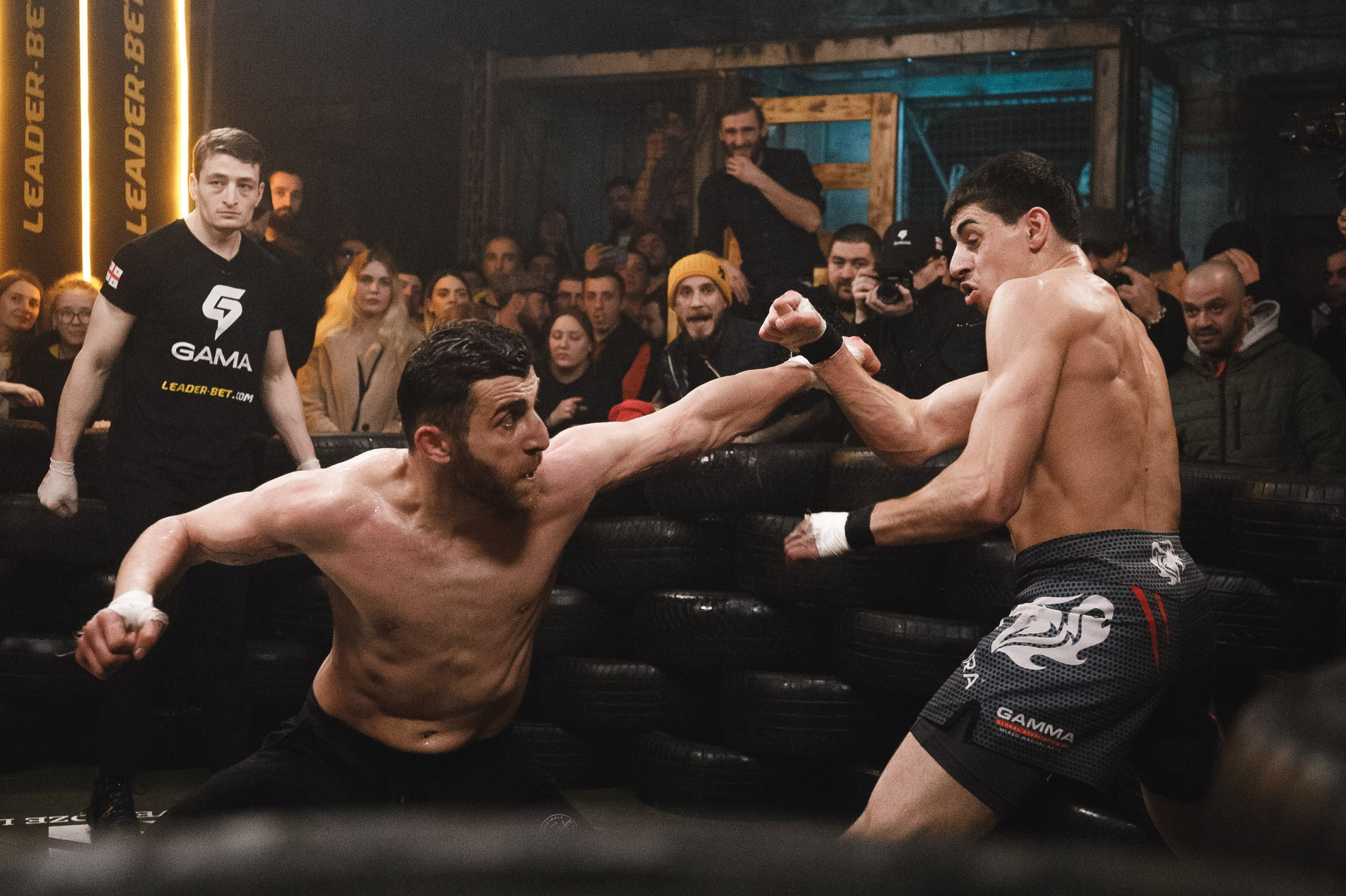Fights // Social. Bivol images