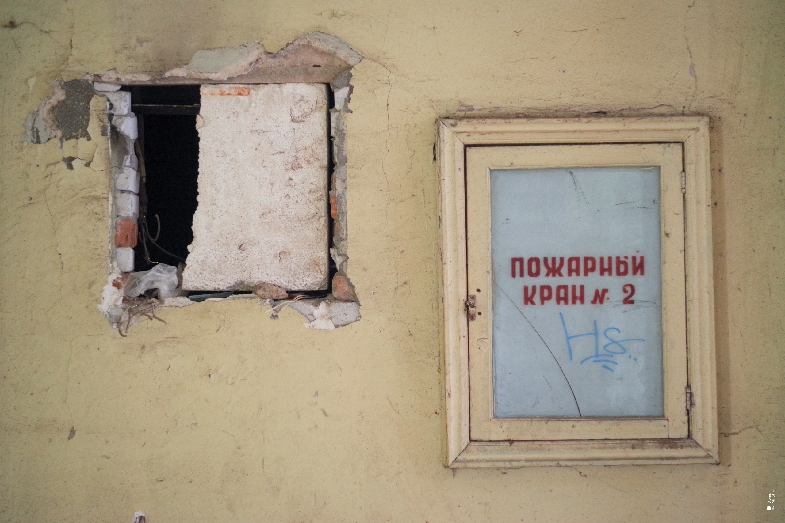 В отпуске с Артёмом. Портретный фотограф Денис Милютин