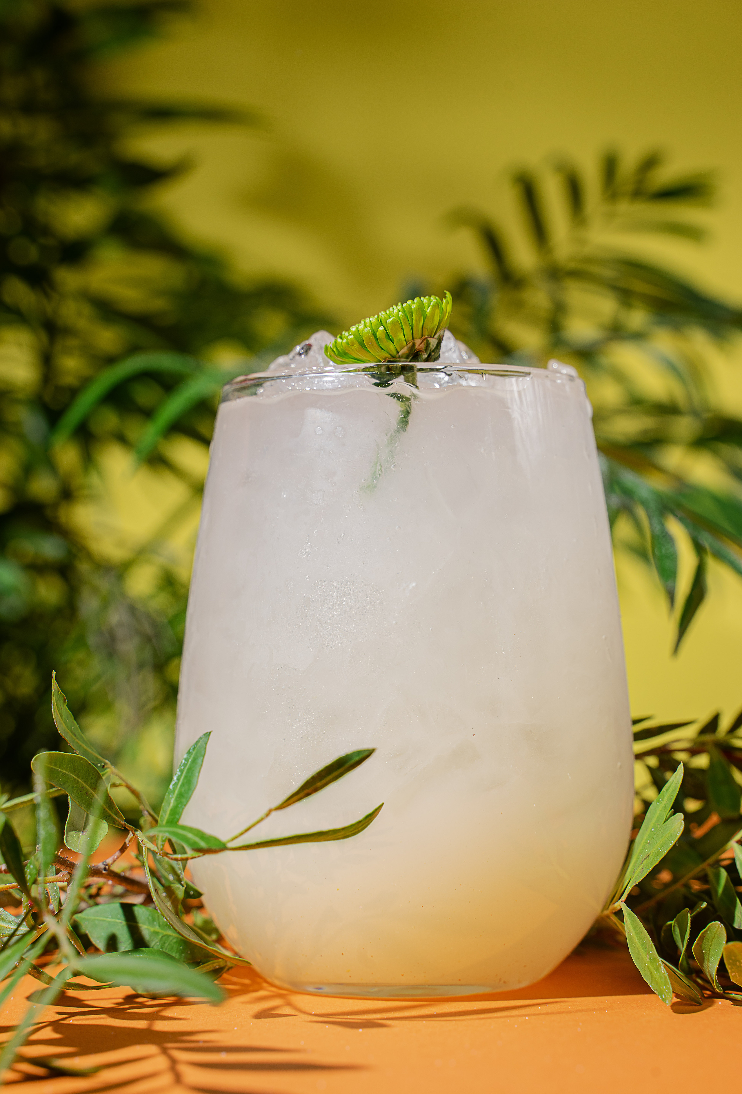 НАПИТКИ. Предметный и фуд-фотограф в Челябинске Руднева Юлия