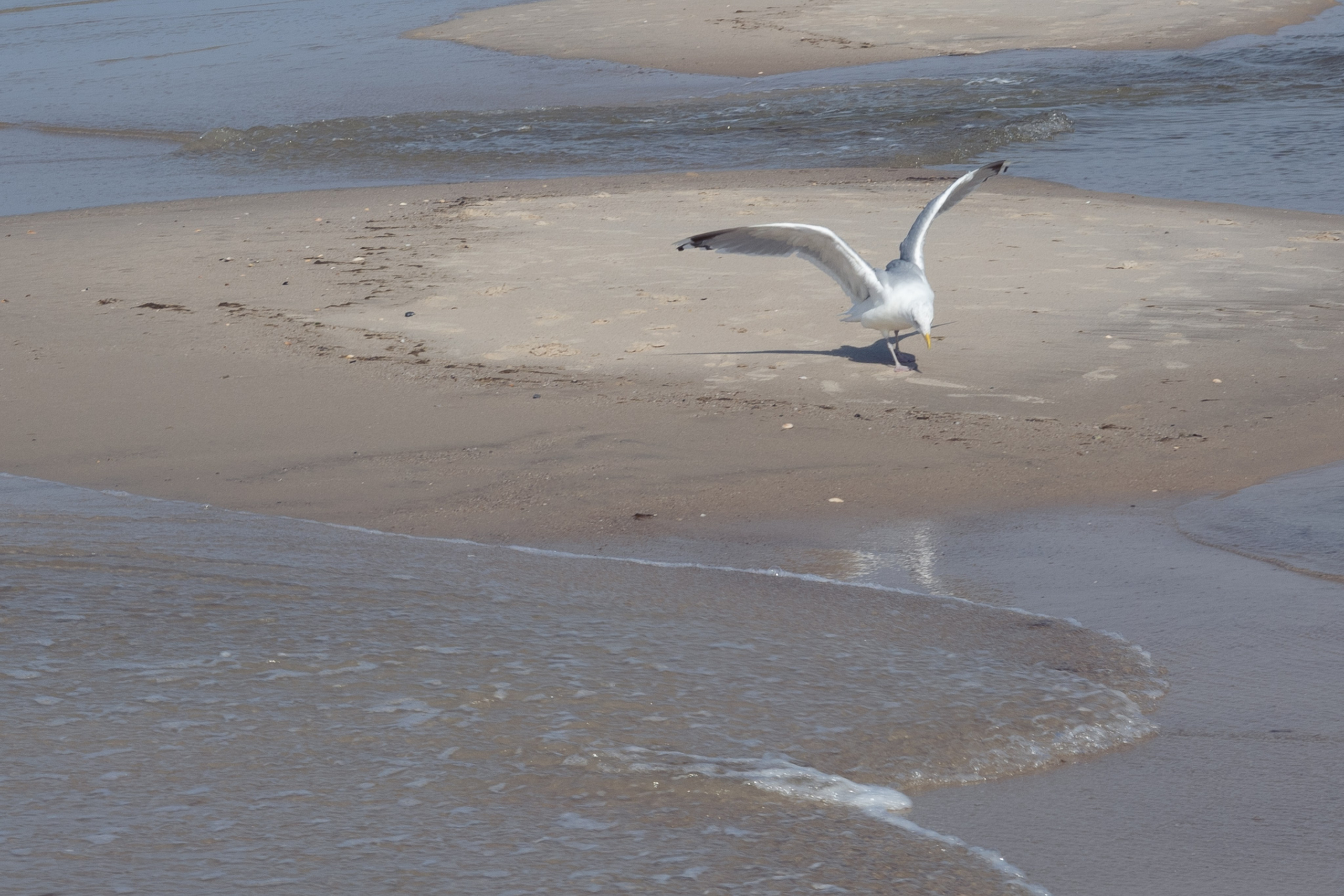 Sylt. ITMAG.ME | Visual Art