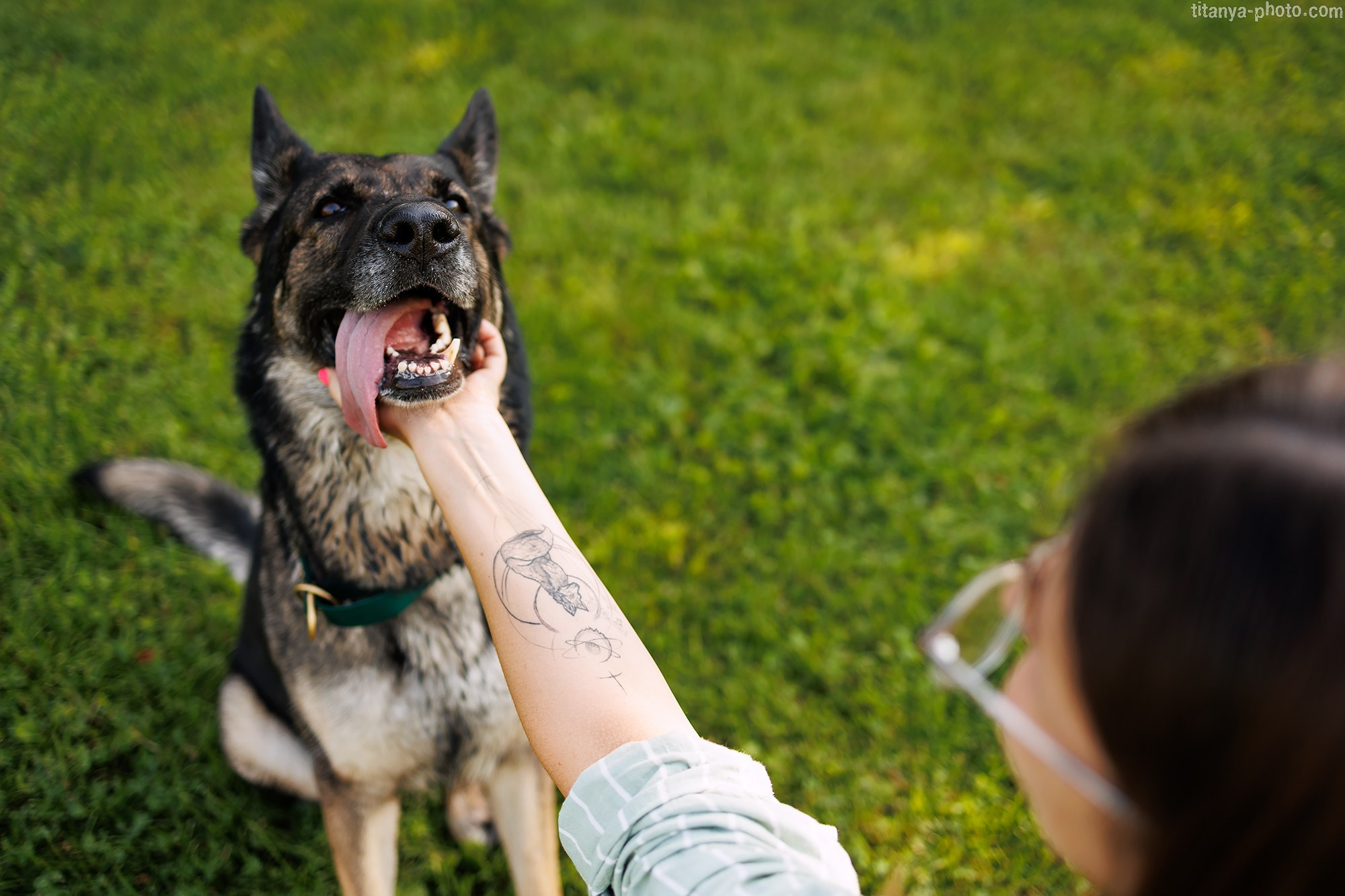 Маша и Харпи. Фотограф собак, фотограф-анималист Аня Титова (Titanya). Москва
