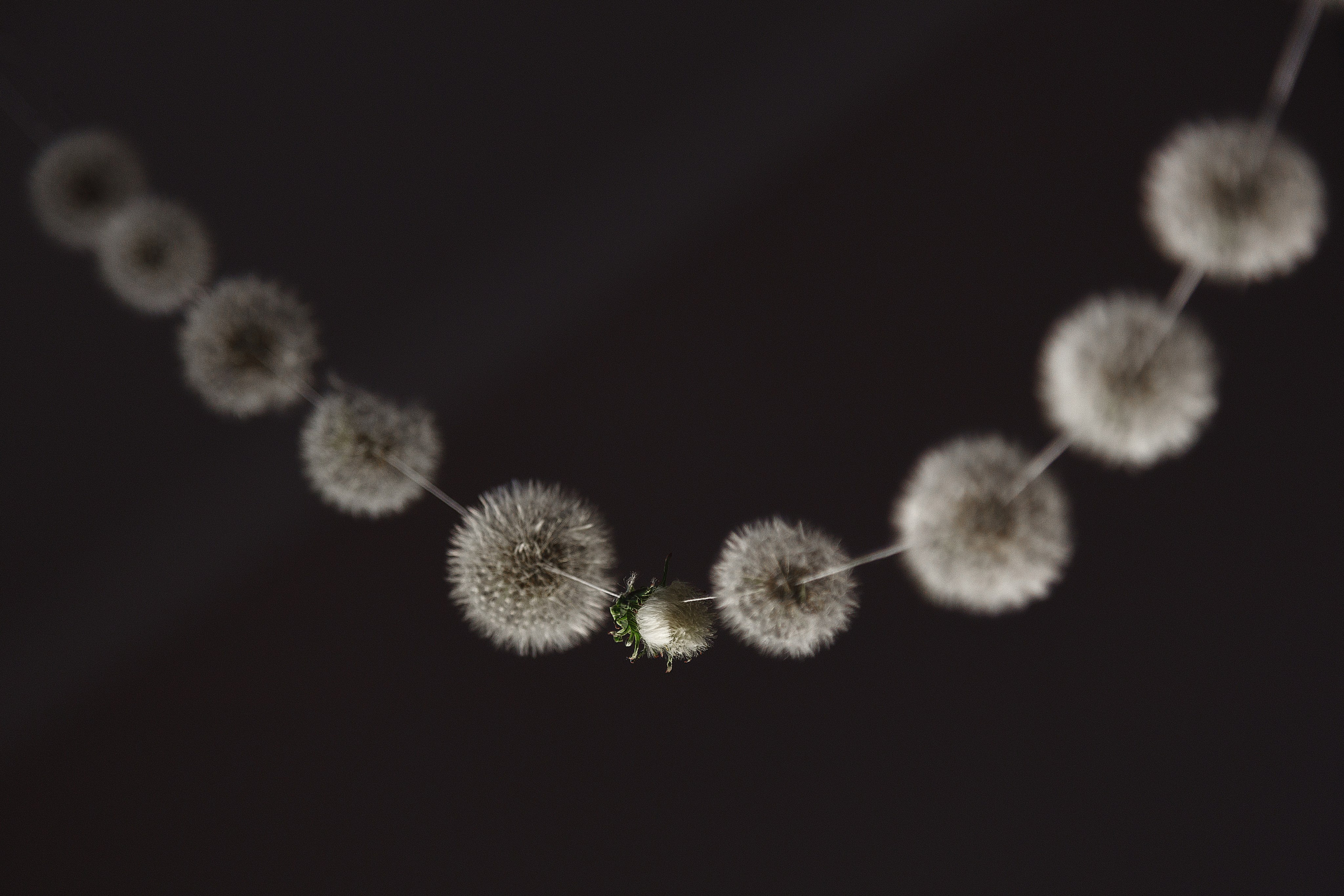 Проект «366»|2024|Фото каждый день. LENA GRACE photographer ||ЛЕНА ГРЭЙС фотограф