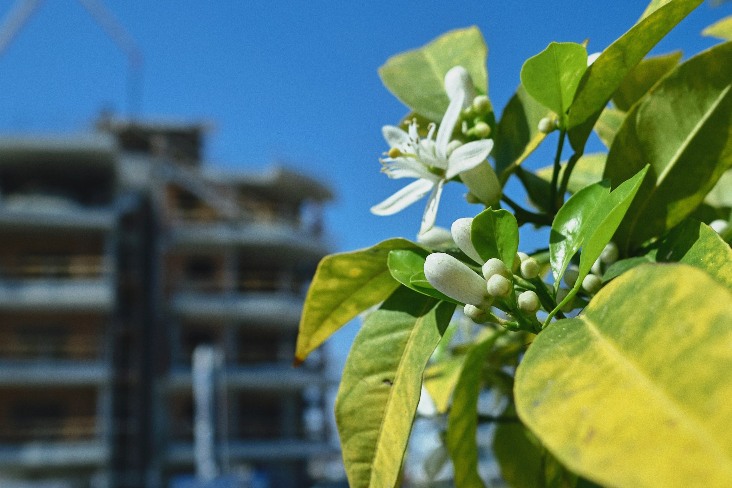Cyprus / 2023. Aleksandr Kobtsev