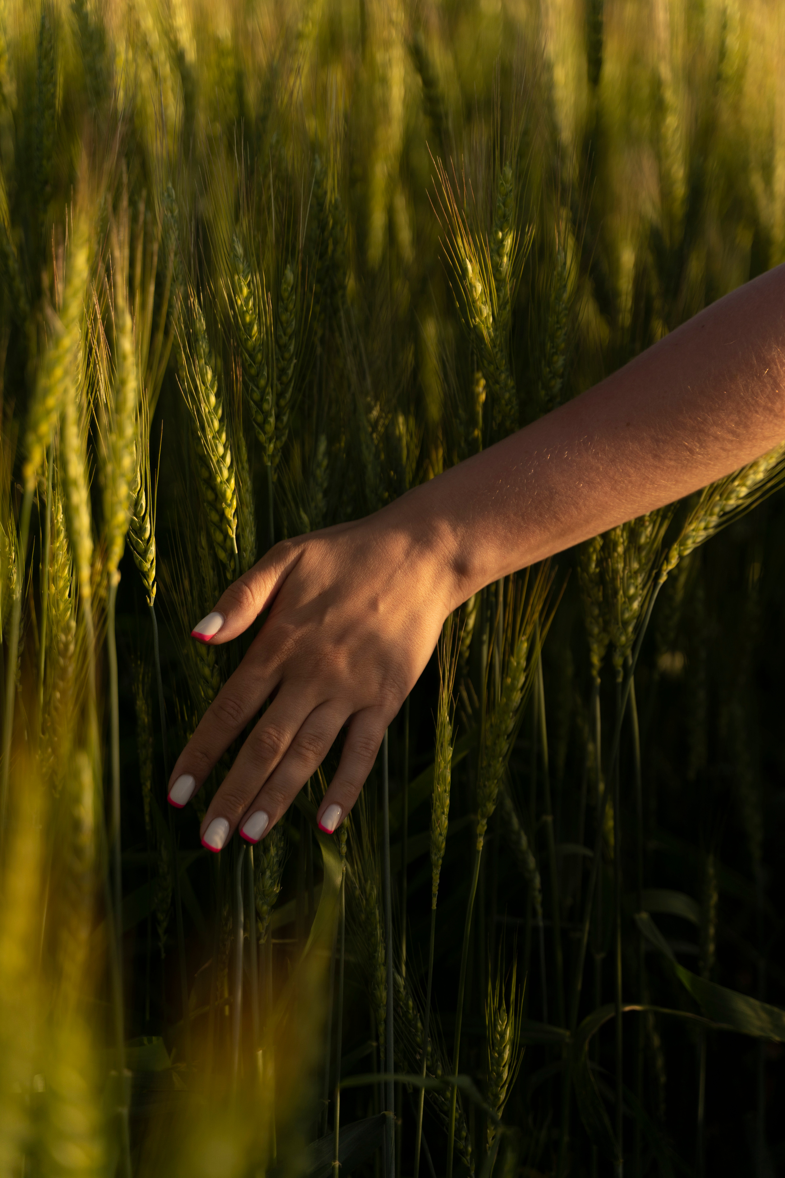 Дарья. Персональный фотограф Наталья Иванкова, Москва