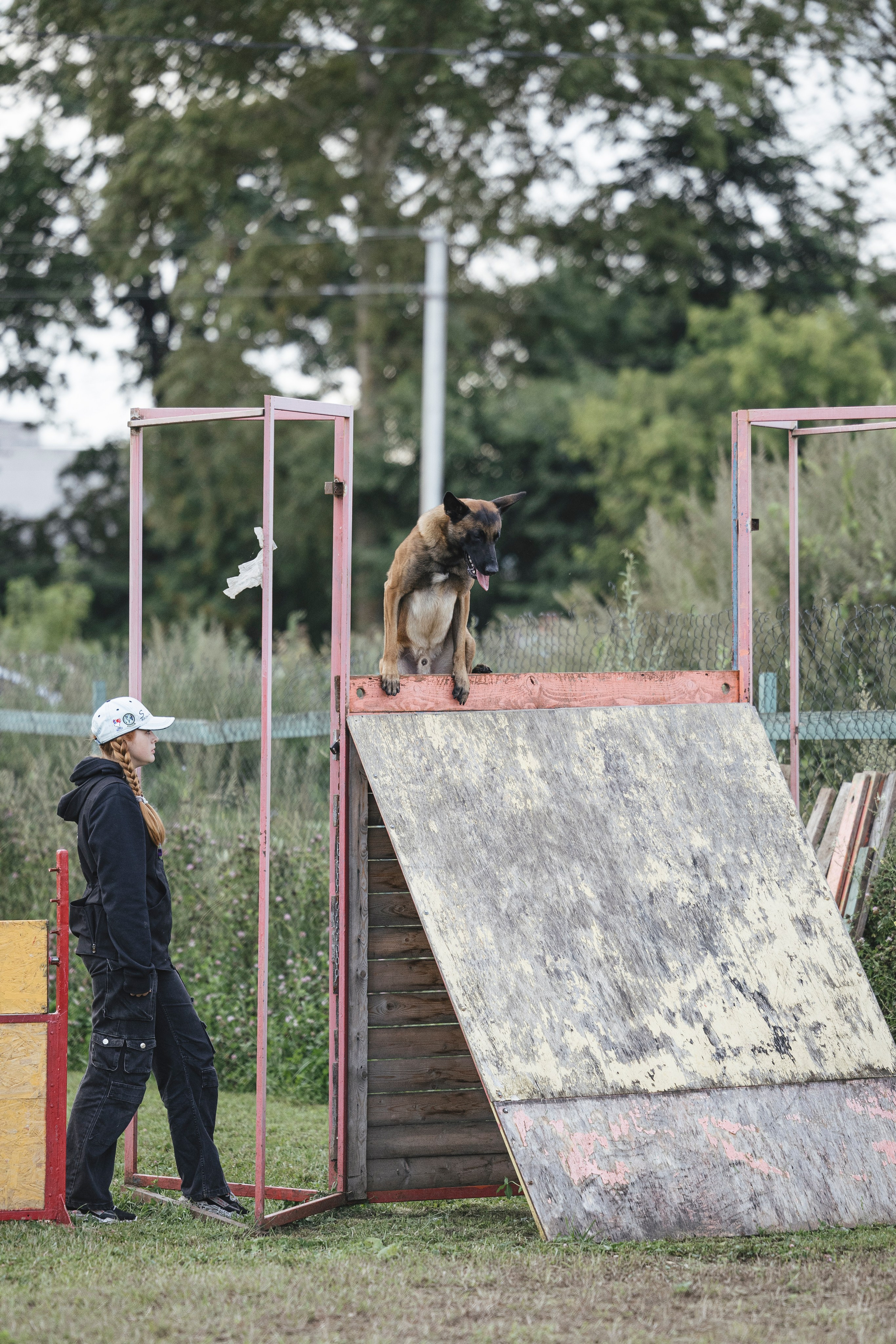 08.08.25-10.08.25 ЧР по мондьорингу г. Вологда. Фотограф-анималист Анна Маринич