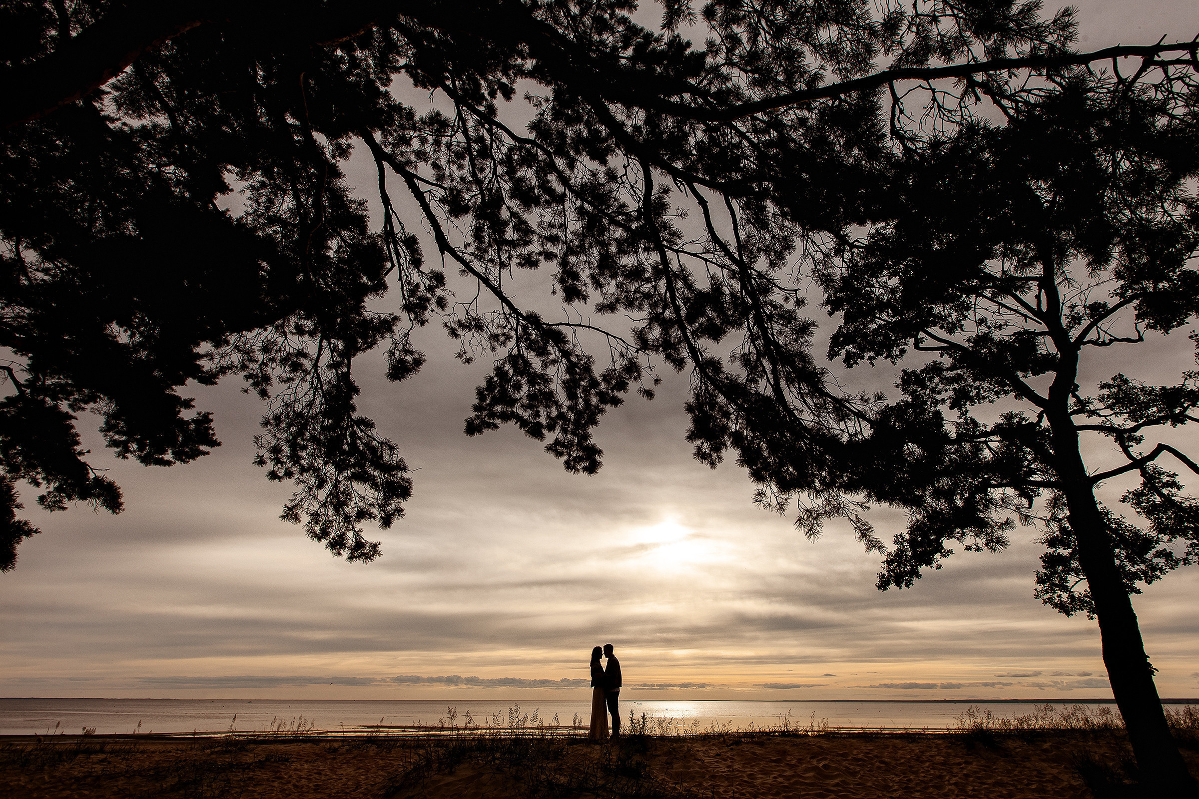 Отзывы о работе фотографа. Свадебный и семейный фотограф Алексей Аверин