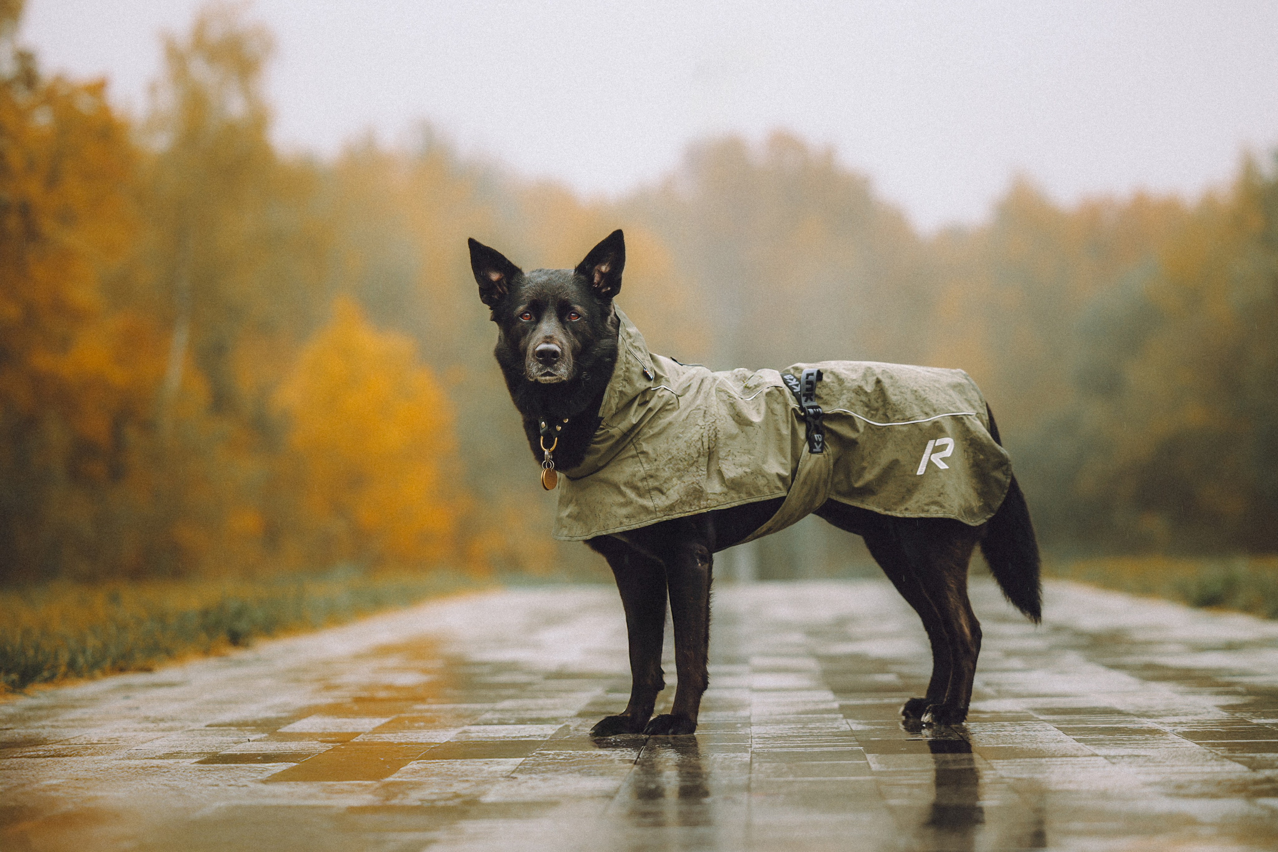 Рита и Буба