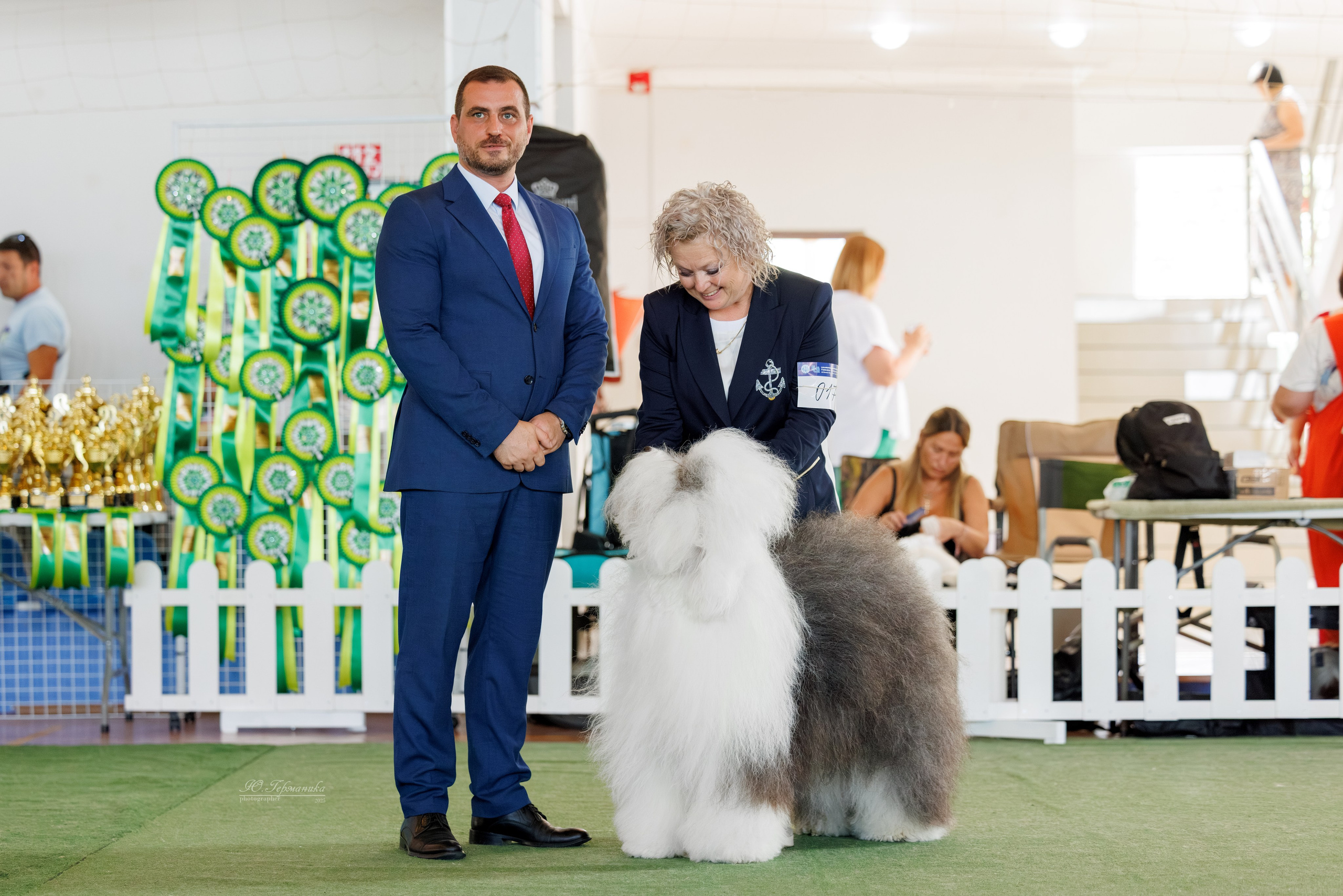 Батуми 3хCACIB 27-29.06.2025. Фотограф-анималист Юлия Германика