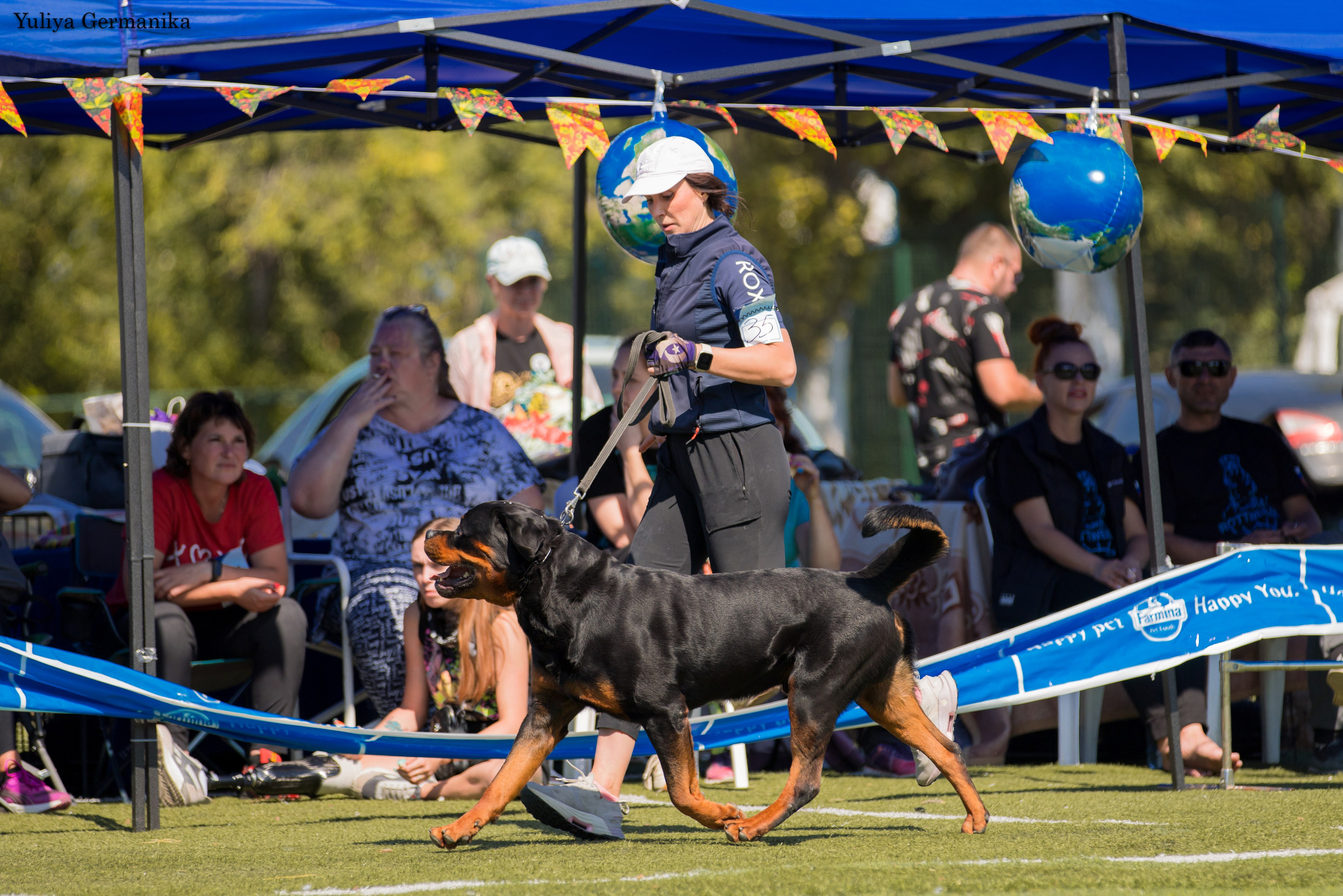Анапа 16-17.09.2023 моно ротвейлеров. Фотограф-анималист Юлия Германика