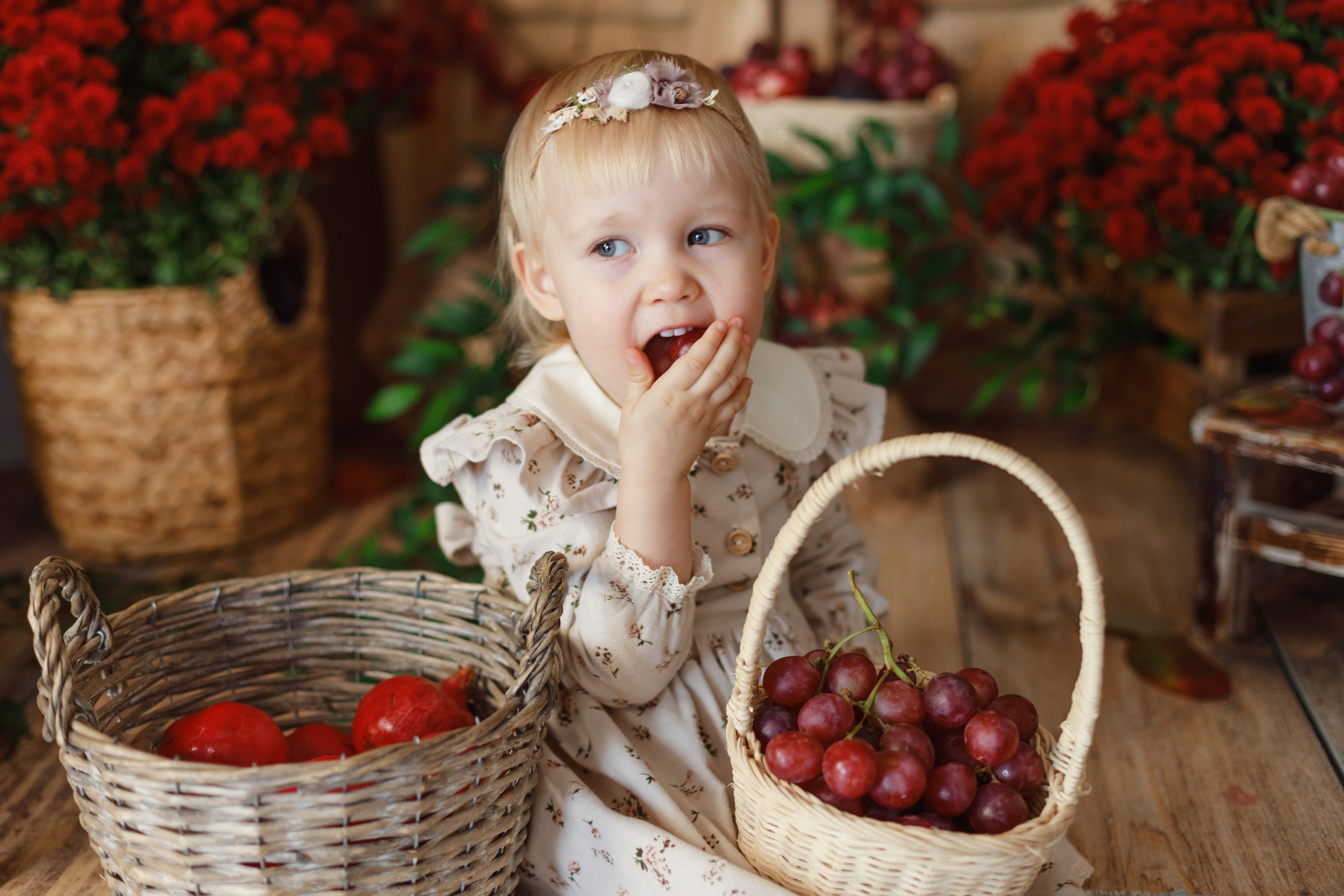 Гранаты 2024. Детский и семейный фотограф в Краснодаре Альбина Морозова