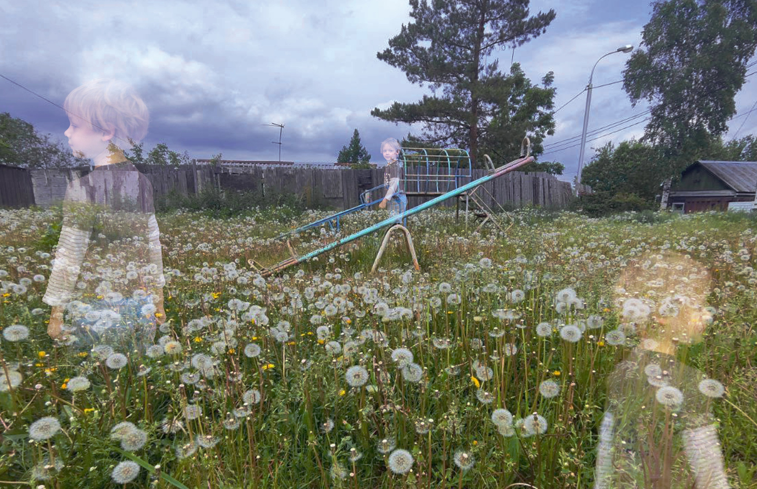 Вселенная на столько стремится к гармонии, что замещает отсутствие подобным. Разве дети не похожи на одуванчики? Они так же внезапны, они яркие эмоциями, смехом, и их головы увенчаны пухом, который светится в контровом свете.