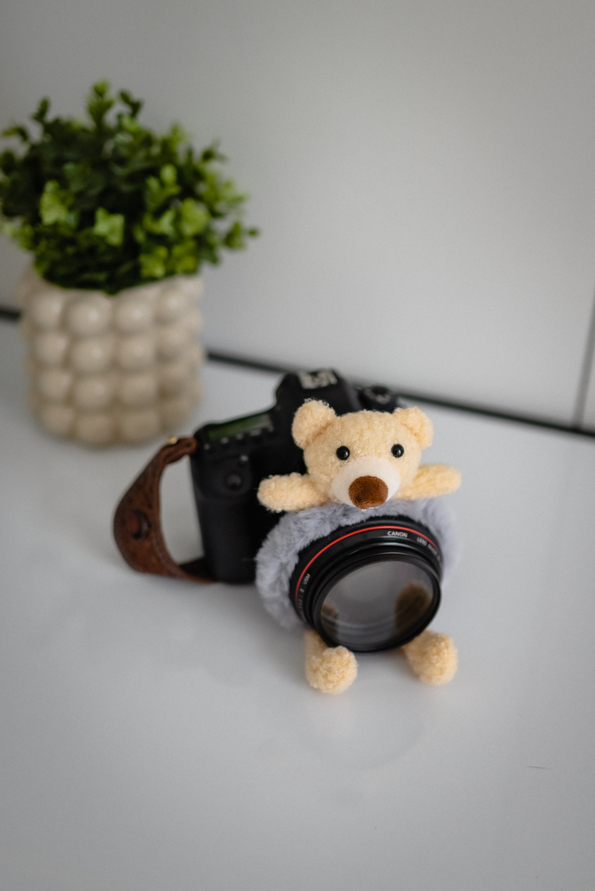 Фотограф. КОНТЕНТ |БРЕНД фотограф Санкт-Петербург — Жанна Олтаржевская