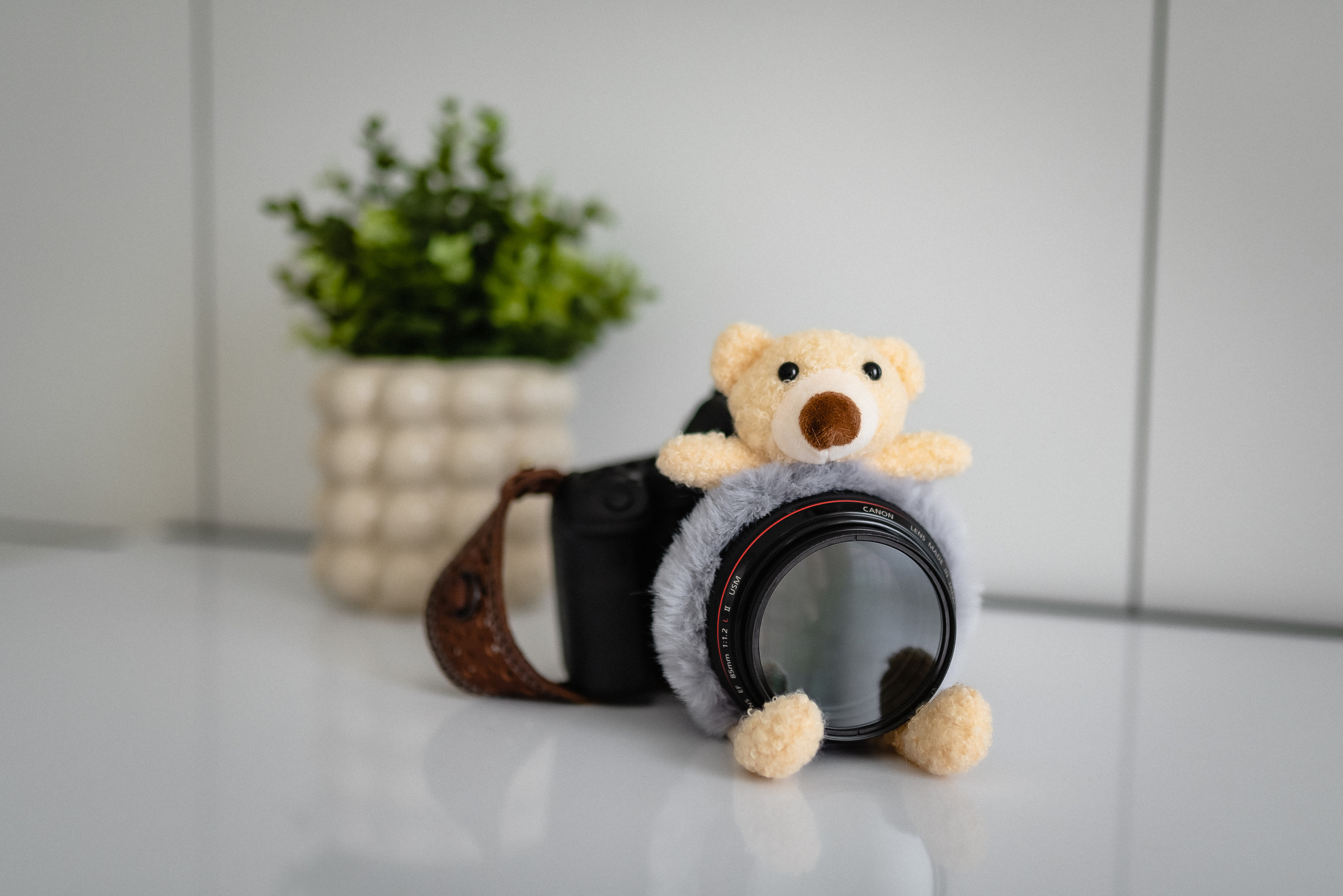 Фотограф. КОНТЕНТ |БРЕНД фотограф Санкт-Петербург — Жанна Олтаржевская