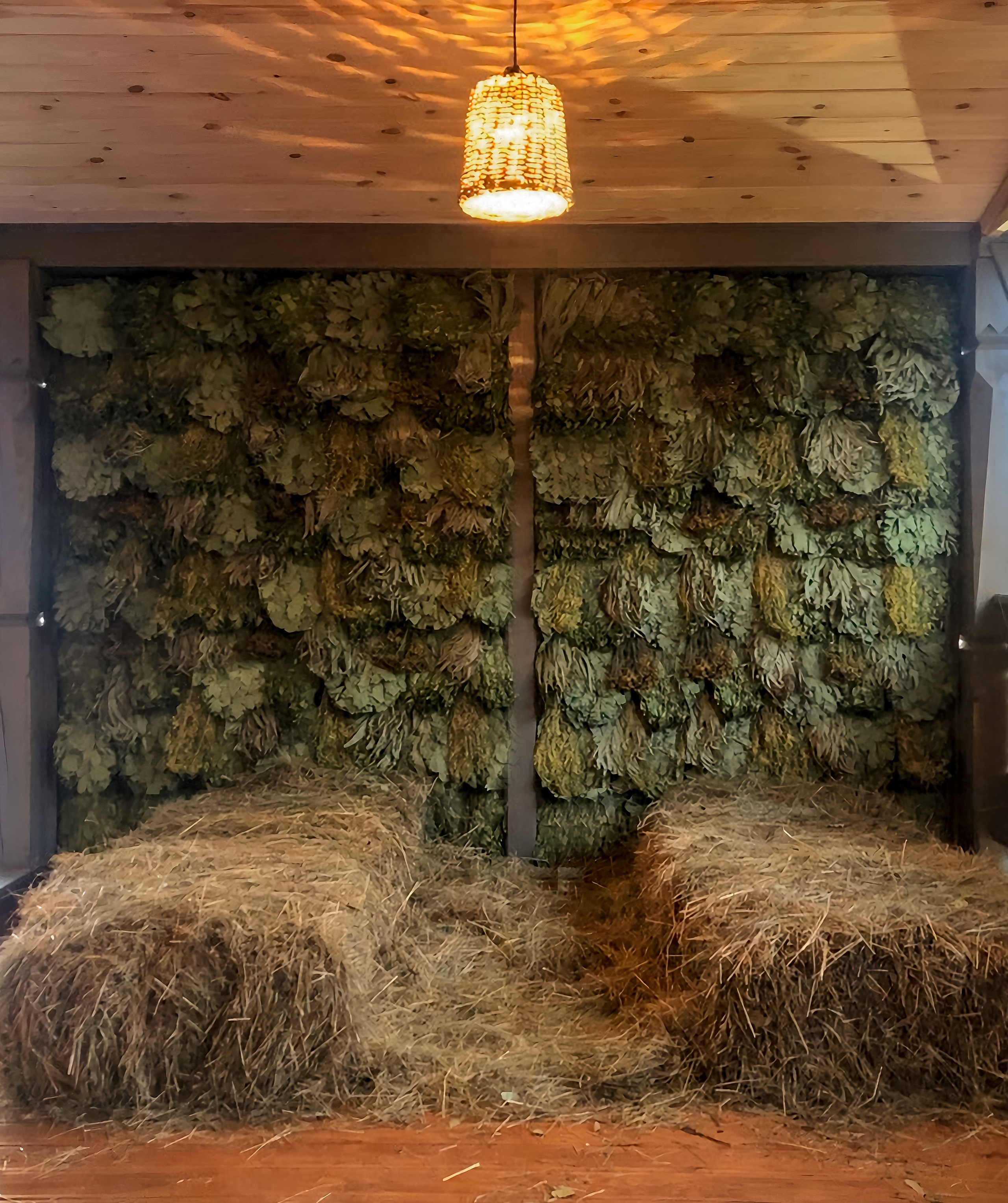 банный комплекс VIP класса, атмосфера покоя и гармонии, связь с природой, экодизайн, место отдыха и релакса, дизайн бани, натуральные материалы, здоровье и тело