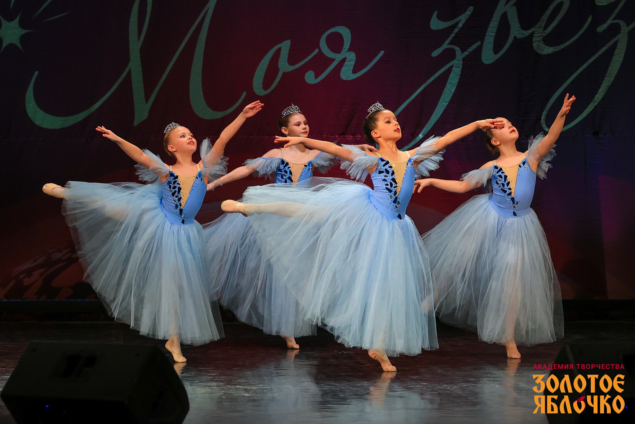 7 февраля, г. Петрозаводск. Золотое яблочко