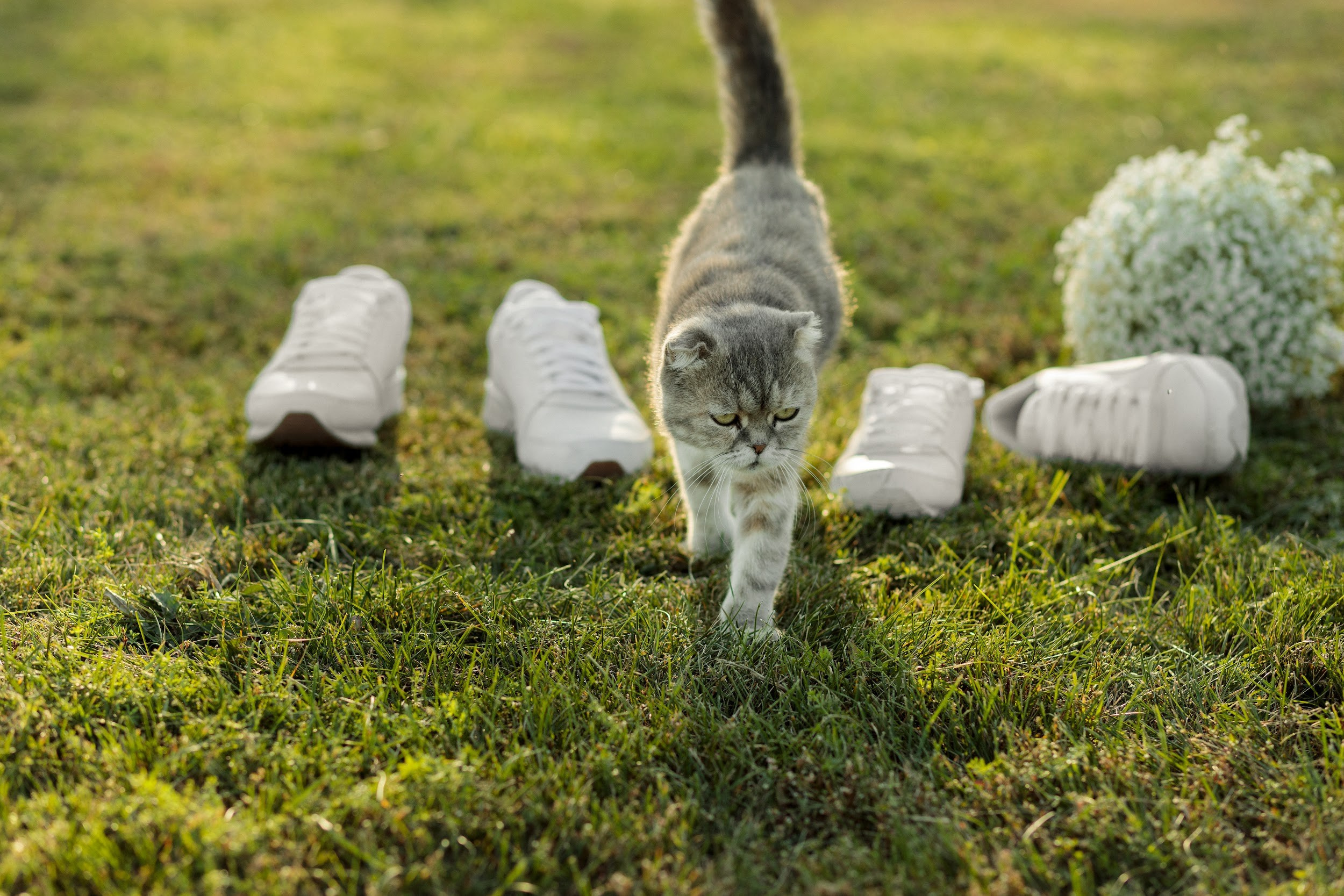 Евгений&Елена. Свадебный фотограф в Ростове-на-Дону Базарова Анастасия
