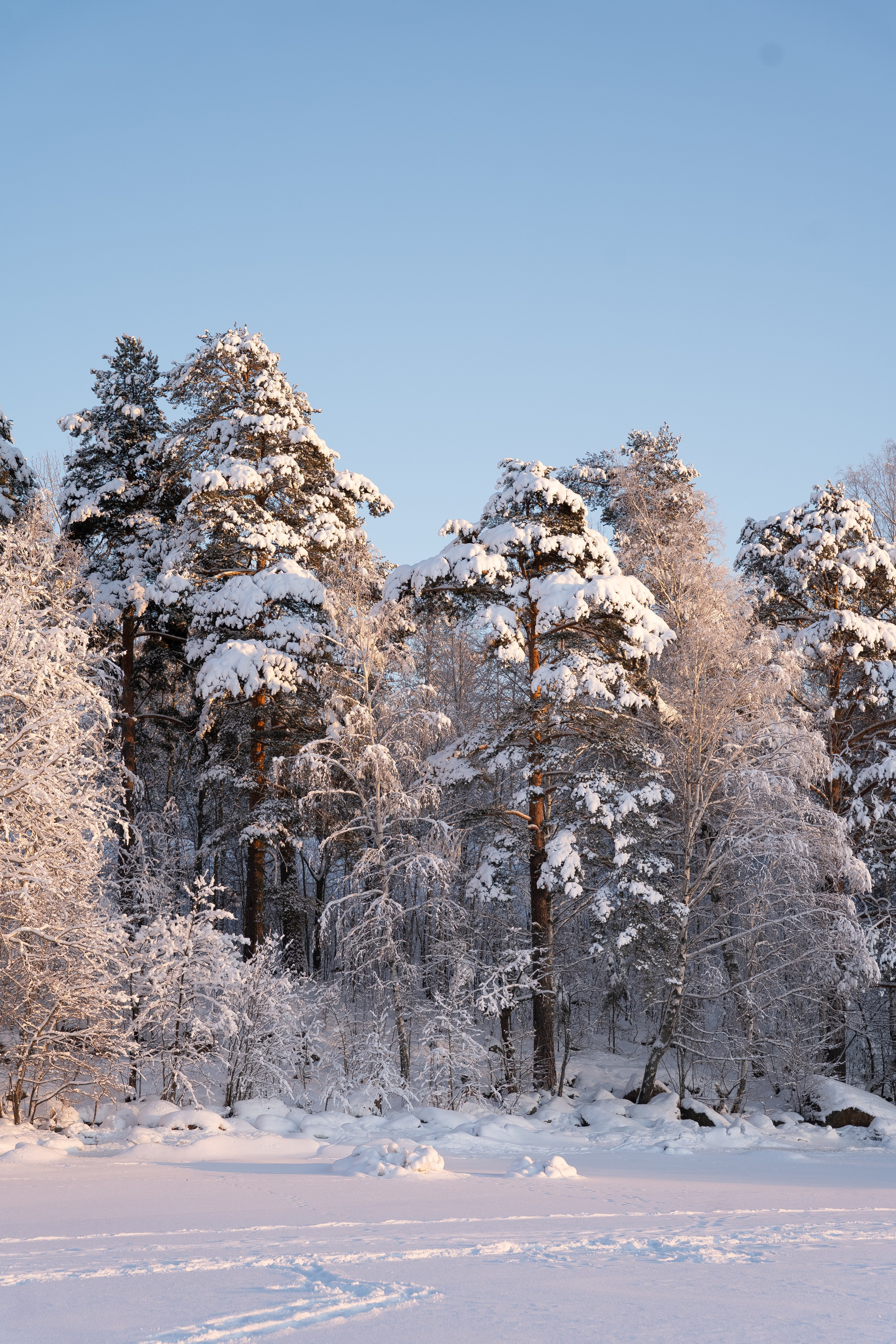 Морозный день. Фотограф в Ульяновске Александра Григоровских