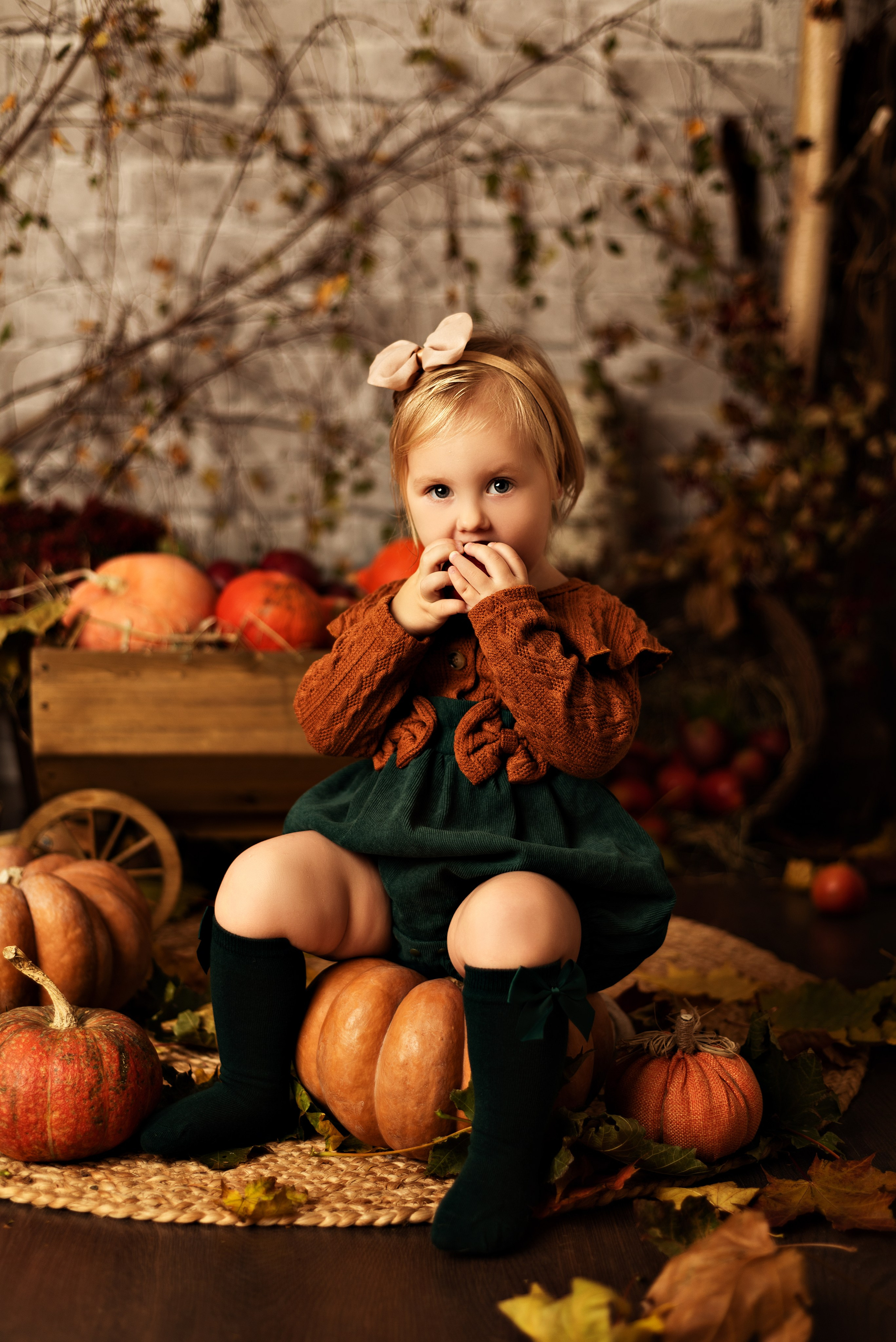 Цены. Детский и семейный фотограф в Люберцах Татьяна Ткаченко