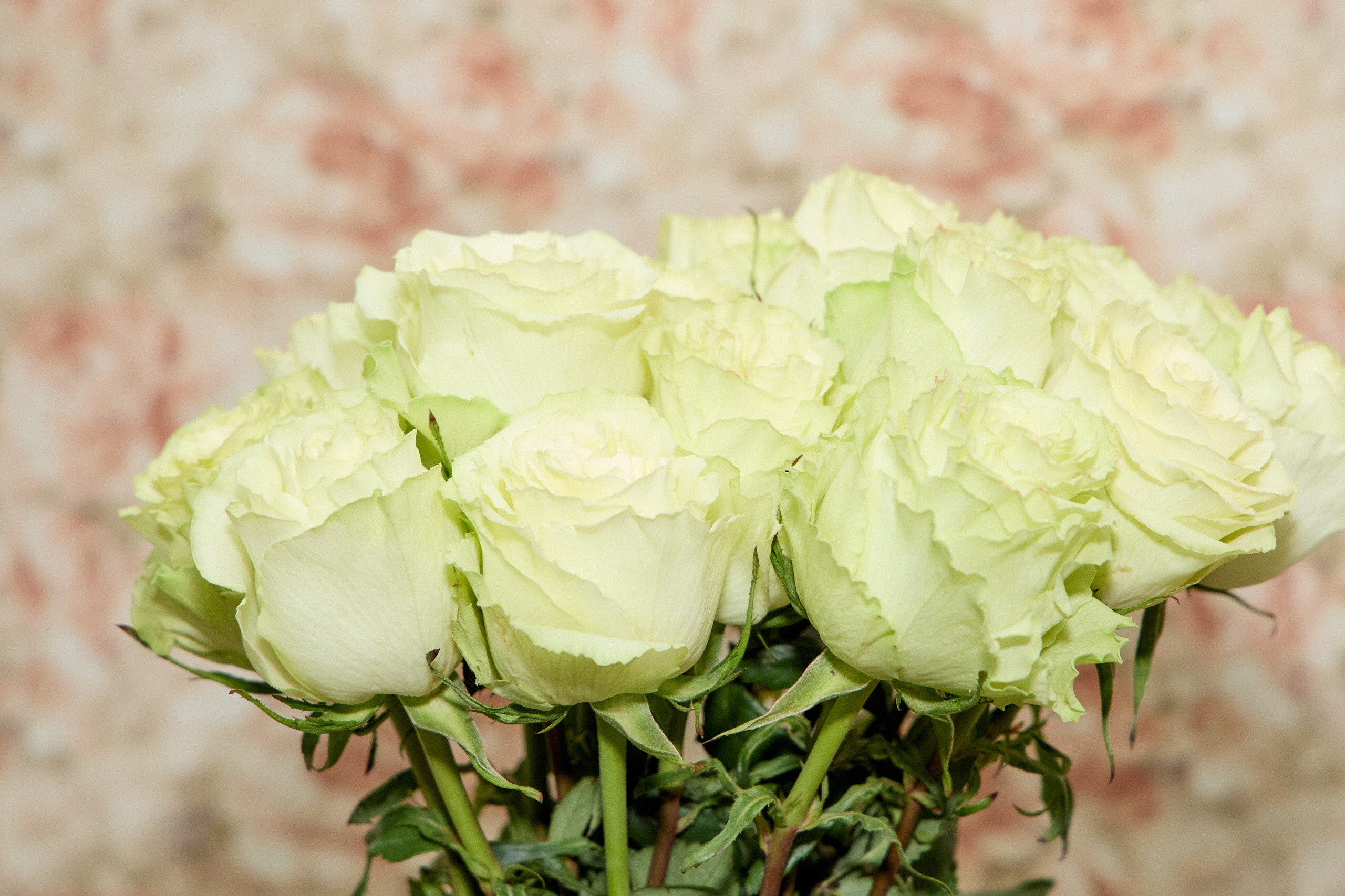 Фотосъёмка юбилея в Нижнем Новгороде — живые эмоции и красивые кадры. Фотограф Нижний Новгород Мария Китаева