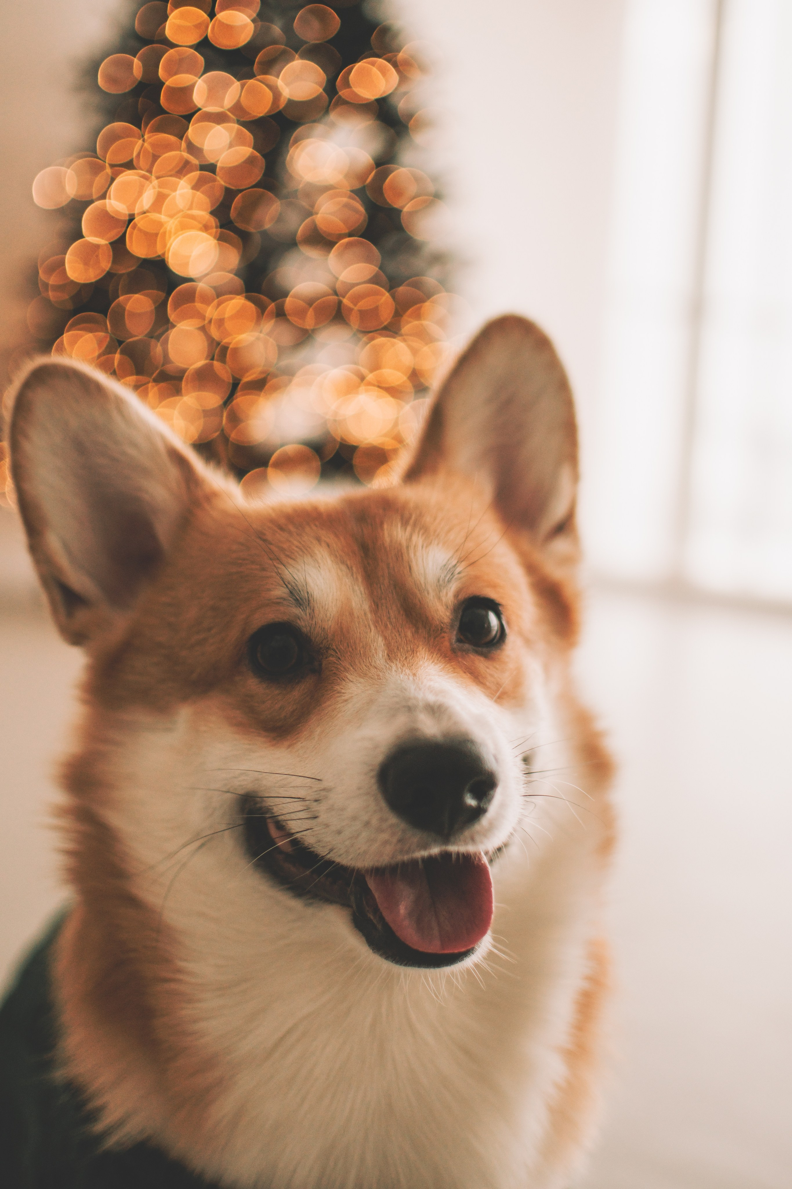 Евгения+Милкис. Семейный и свадебный фотограф Губкинский и Ставрополь