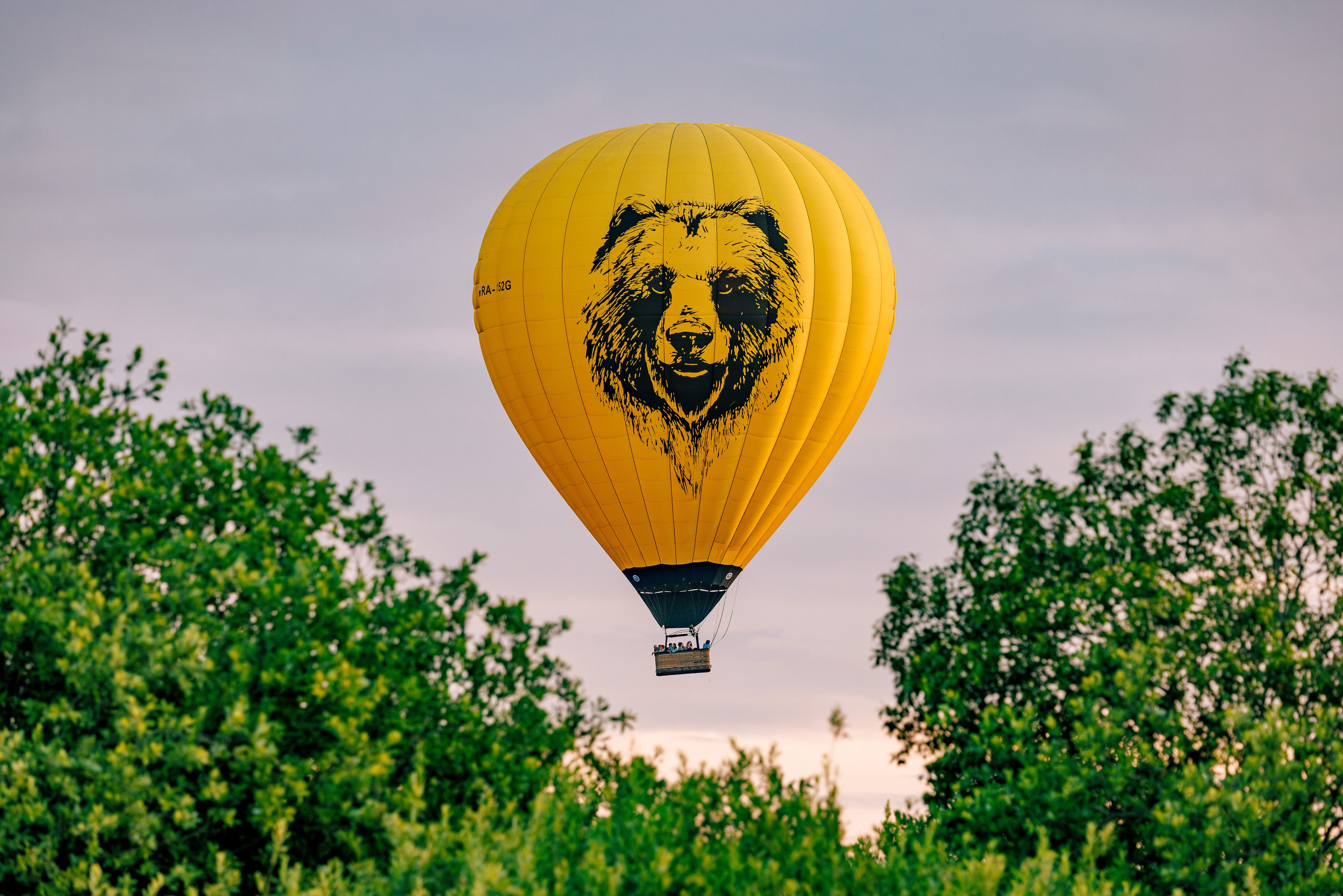 Спортивная фотосьемка. Фотограф Дмитрий Бойков