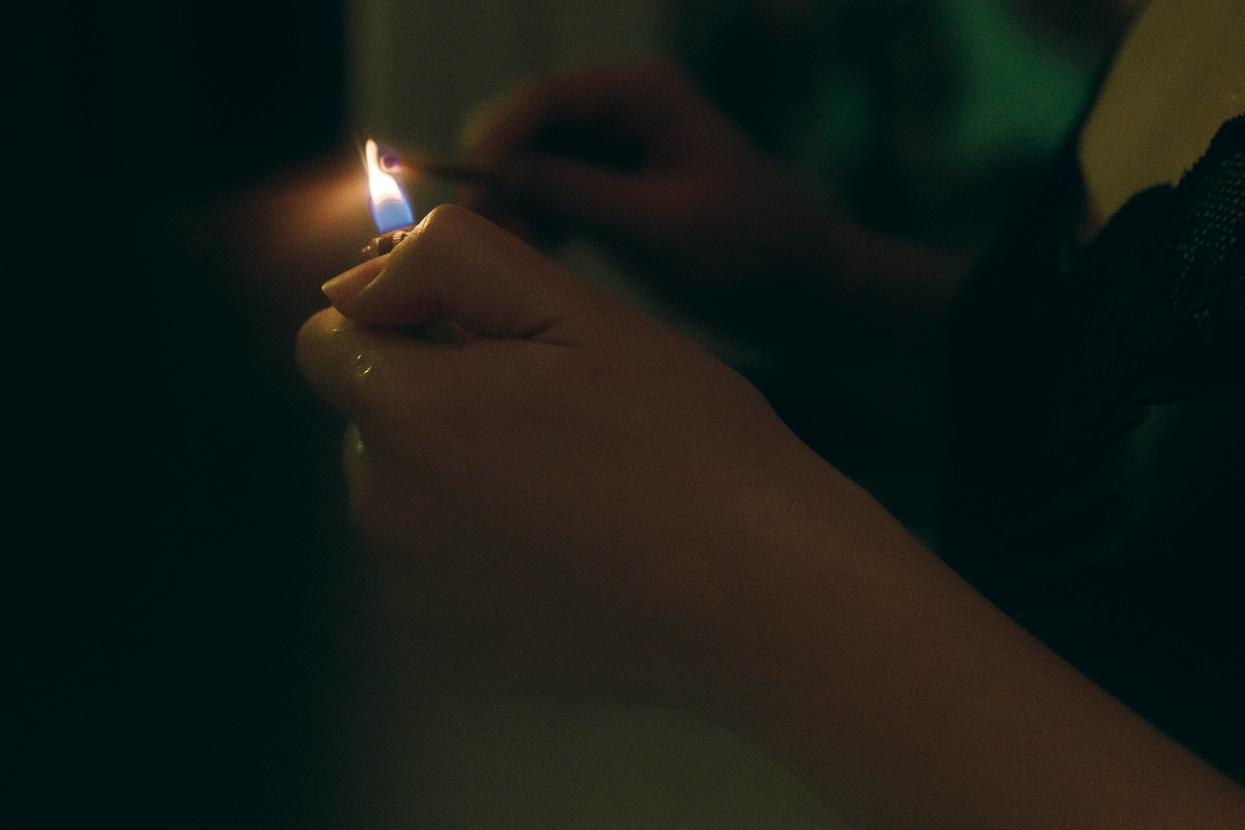 Милена. Фотограф-анималист Ксения Воробьева, Москва