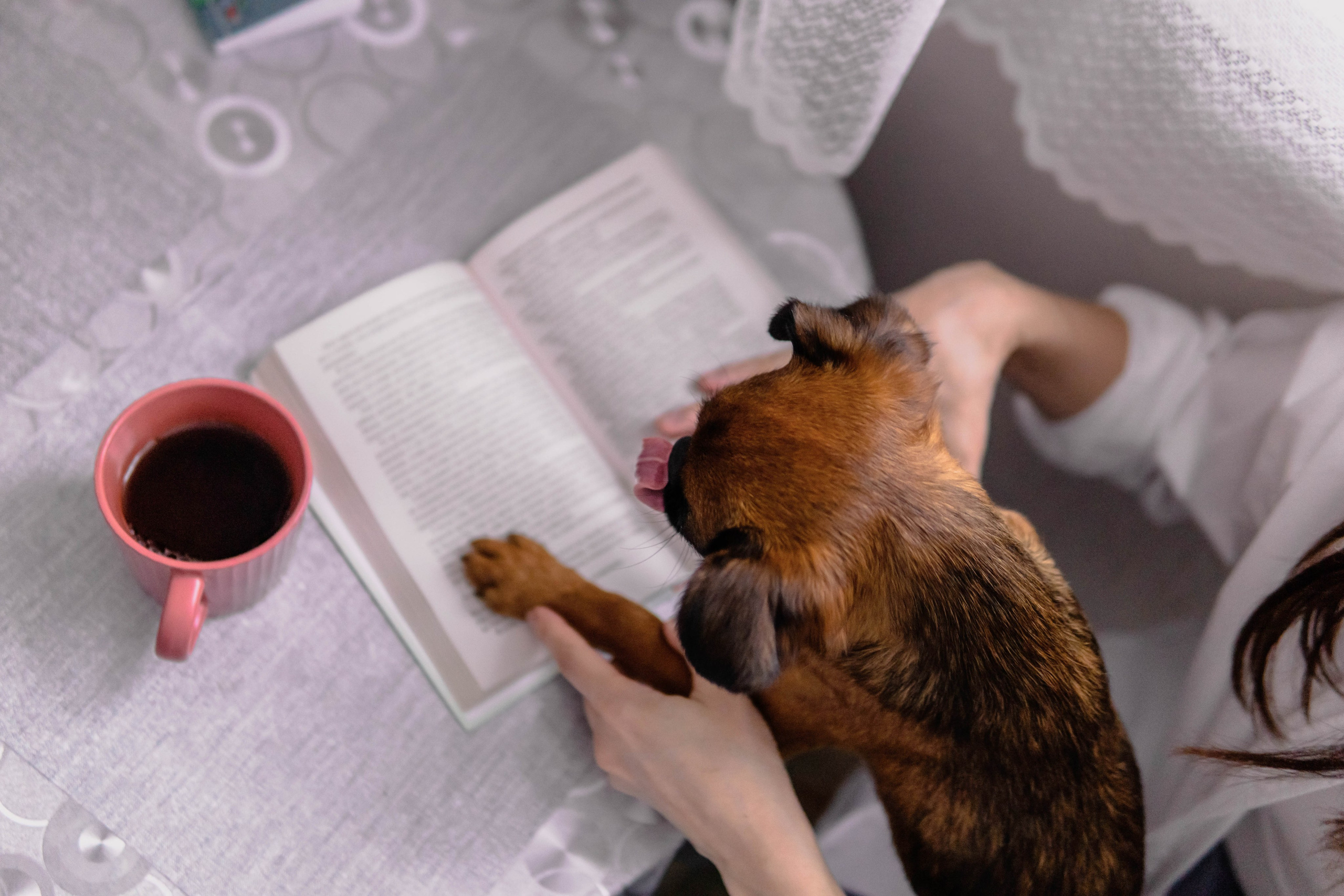 Надя и Ефим. Фотограф-анималист Ксения Воробьева, Москва