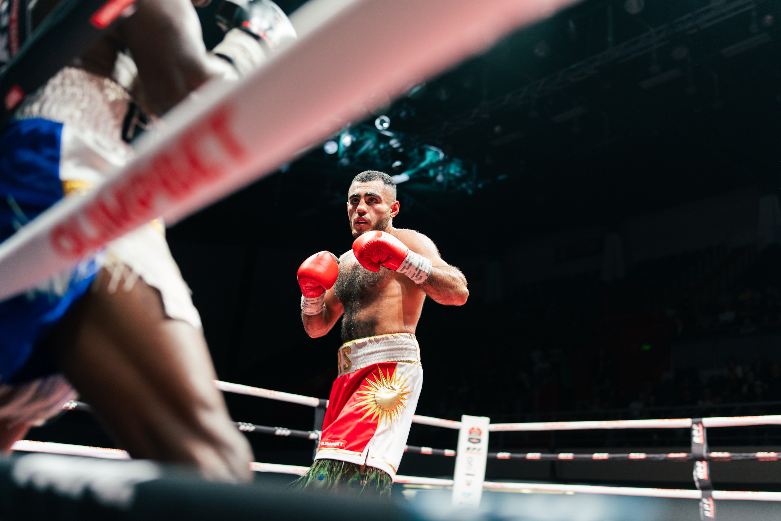 Бокс. Фотограф в СПБ Алмаз Камаев