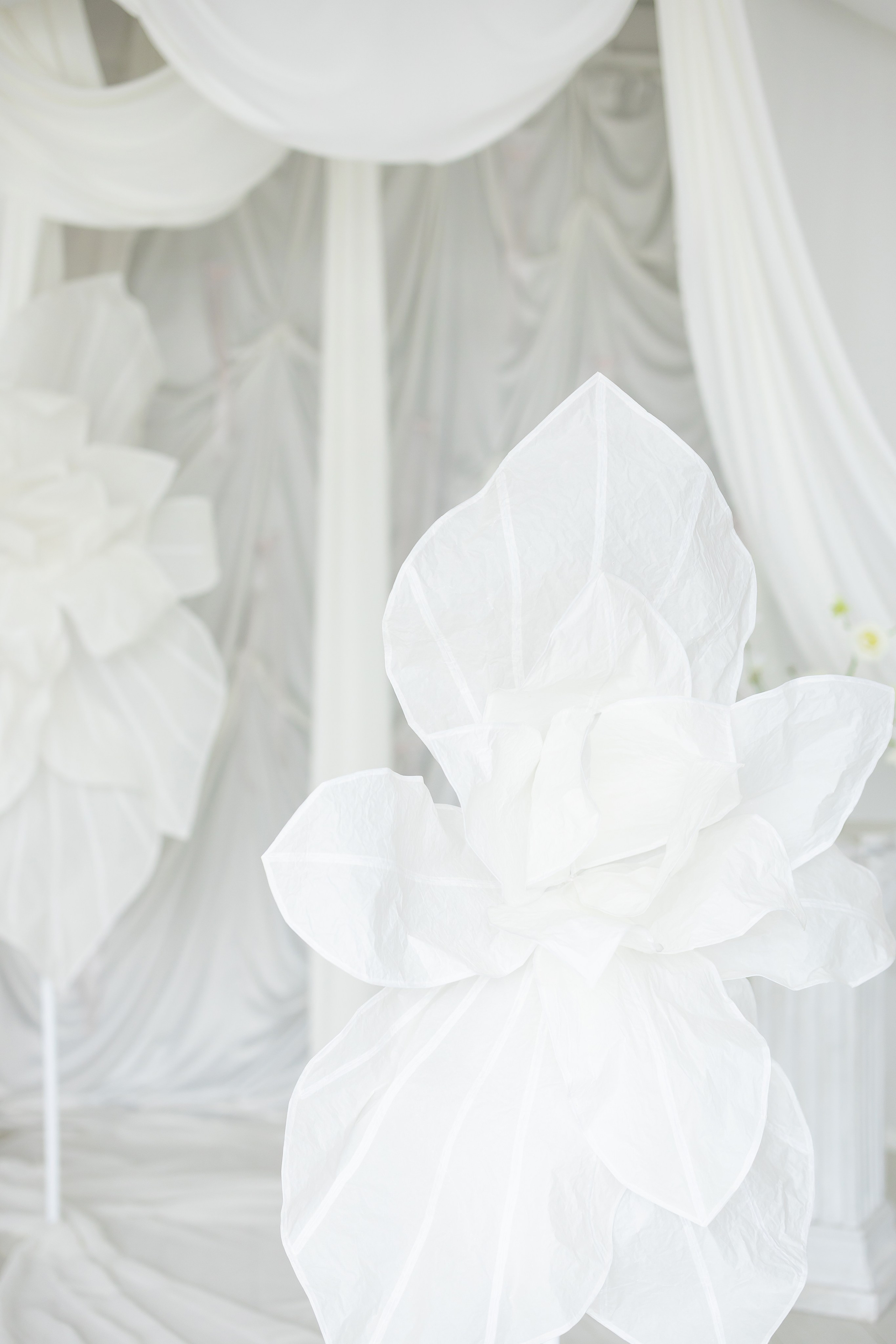 Фотостудия «AVOCADO» зал вайт. Свадебный фотограф в Ростове Александра Груздева