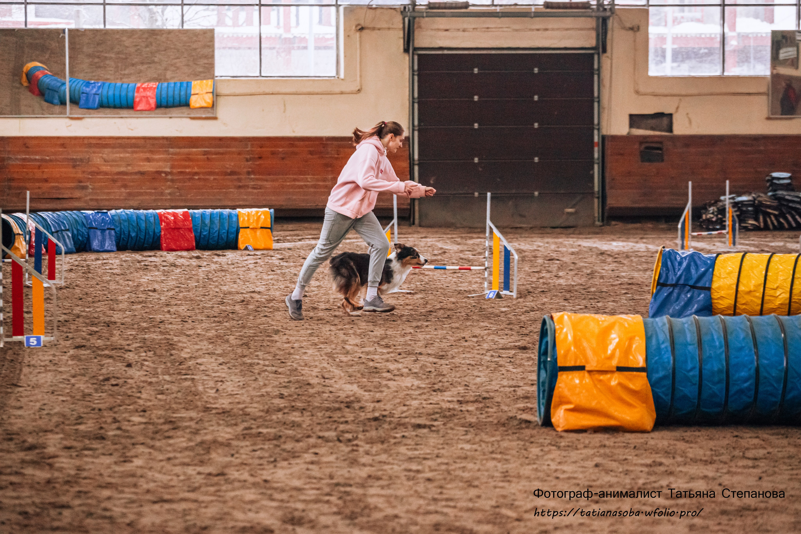 Соревнования по Аджилити 25.02.2024. Фотограф-анималист Татьяна Степанова