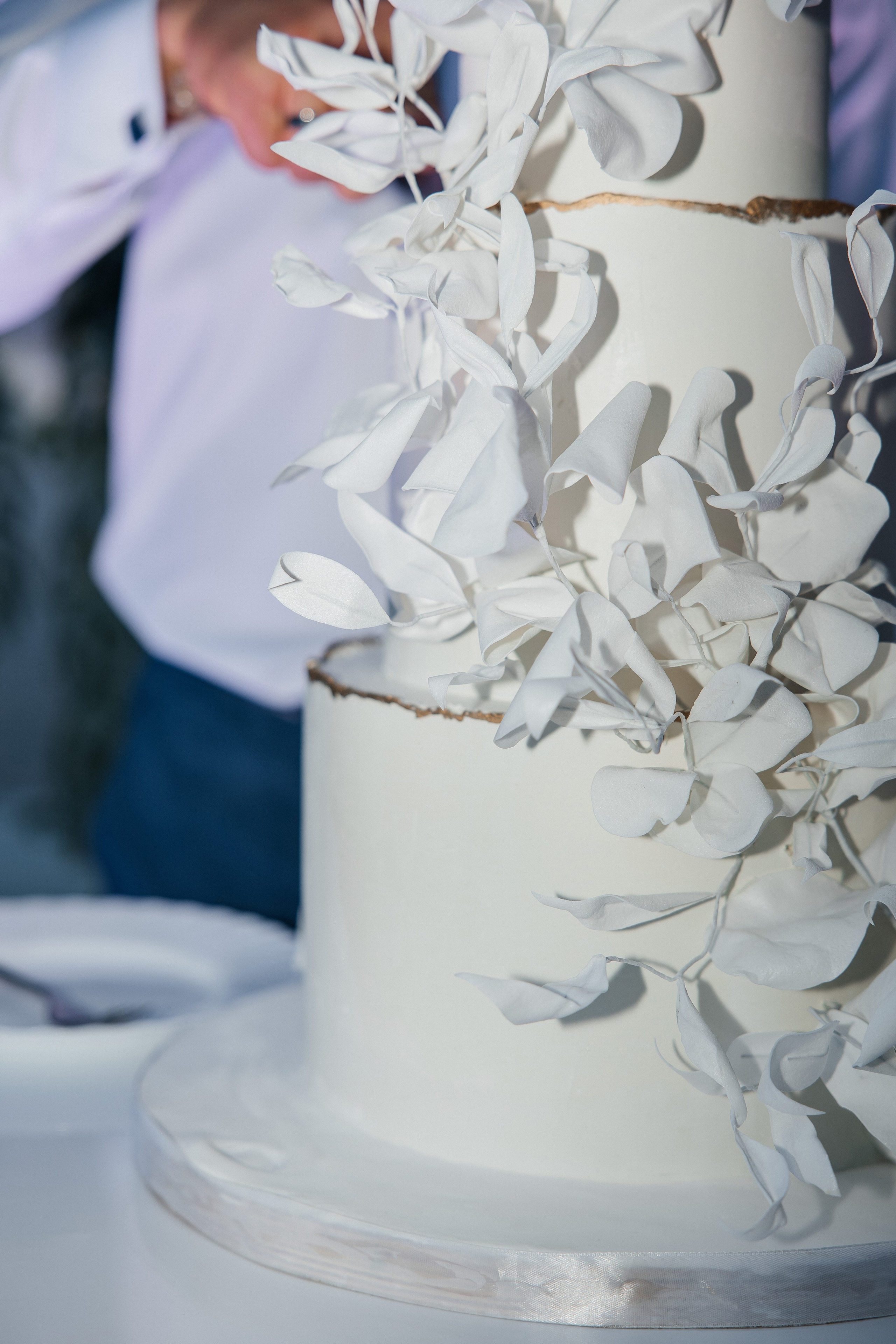 Фото и видеосъемка на свадьбу пакетом услуг. Фотограф, видеограф на свадьбу в Москве Никита Назаров