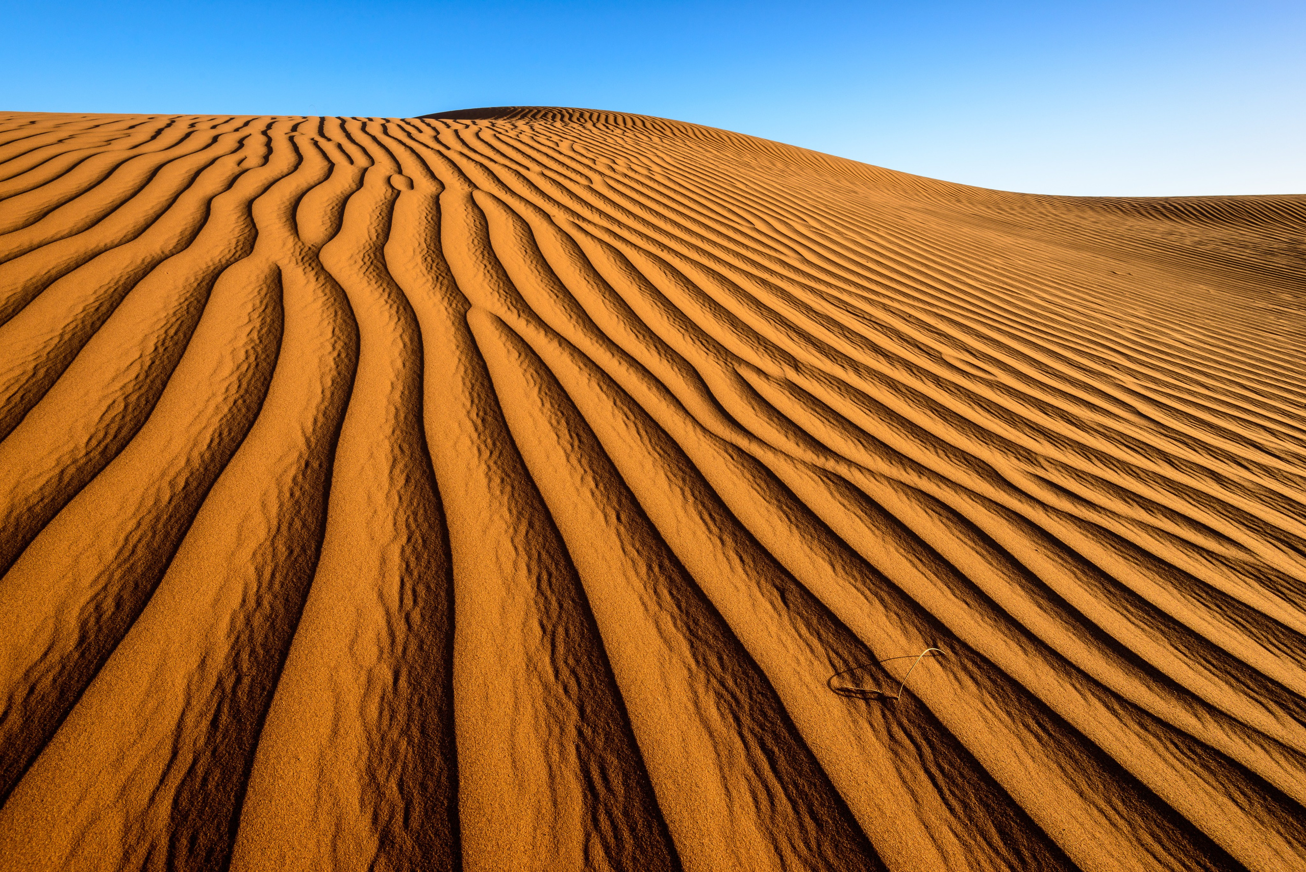 Страна заходящего Солнца. Пейзажный фотограф Сергей Пестерев. Фото природы