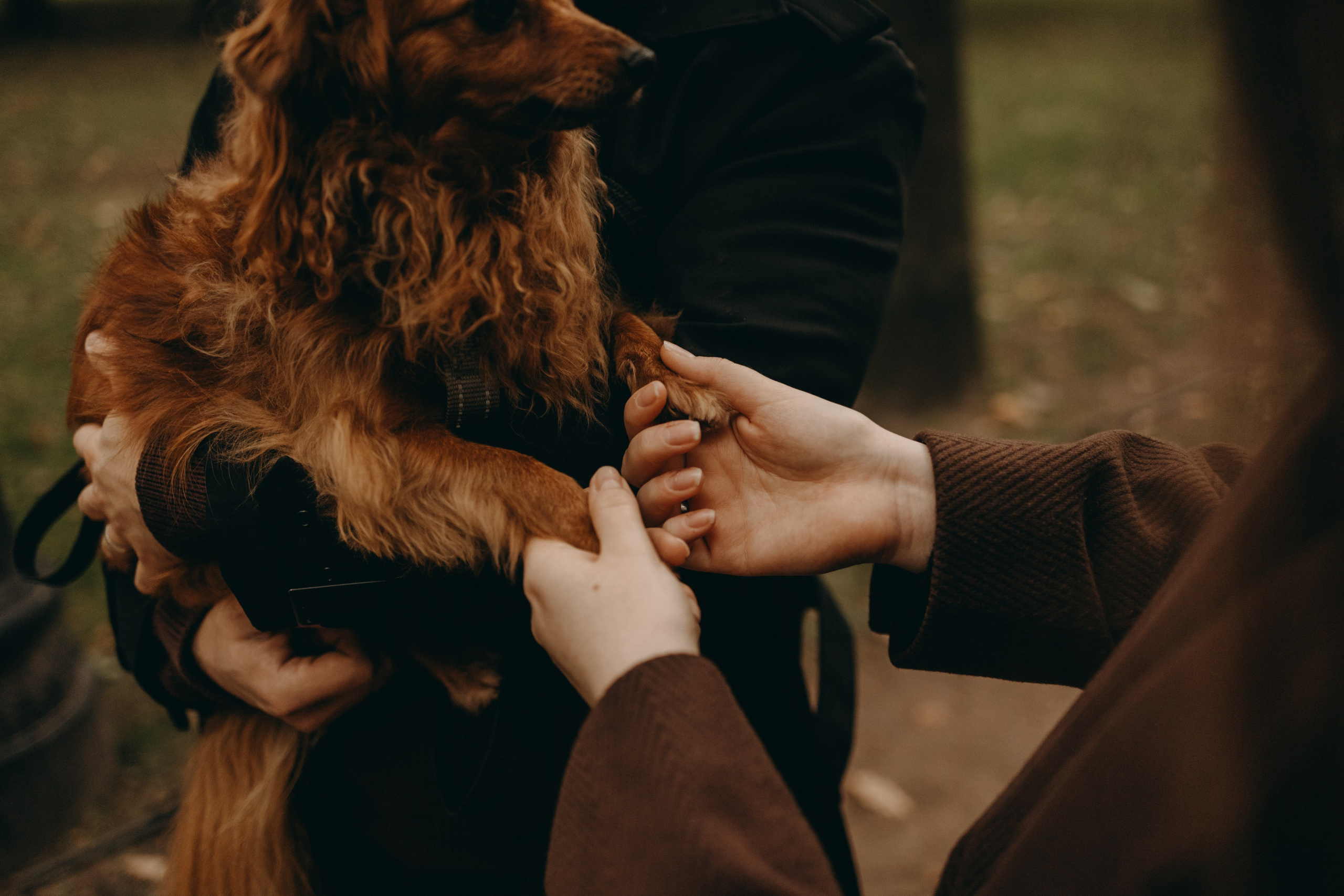 Жу и ее семья. Фотограф — Анималист | Санкт-Петербург