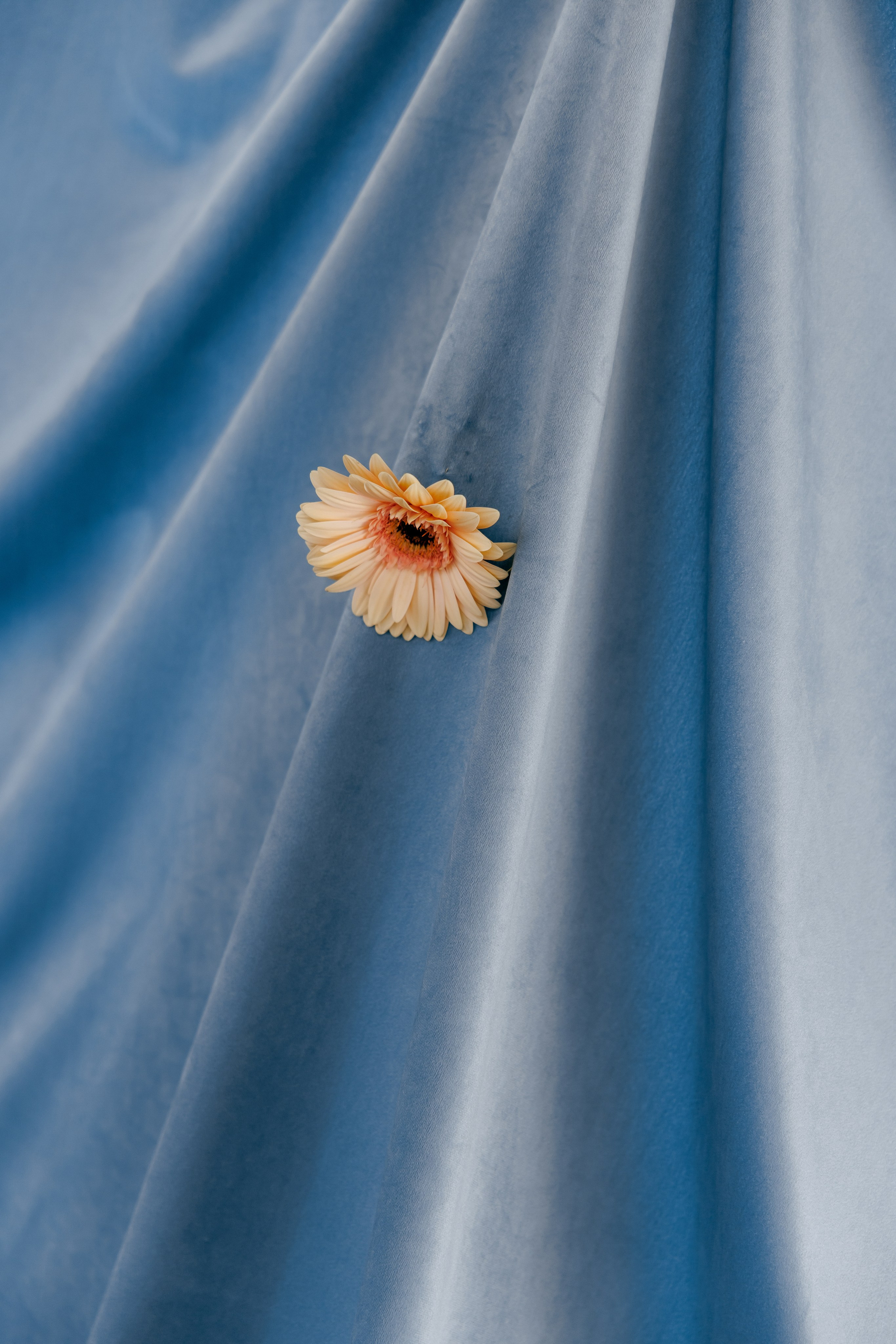 Дмитрий и Наталья. Wedding and Reportage photographer Marmarov Christya