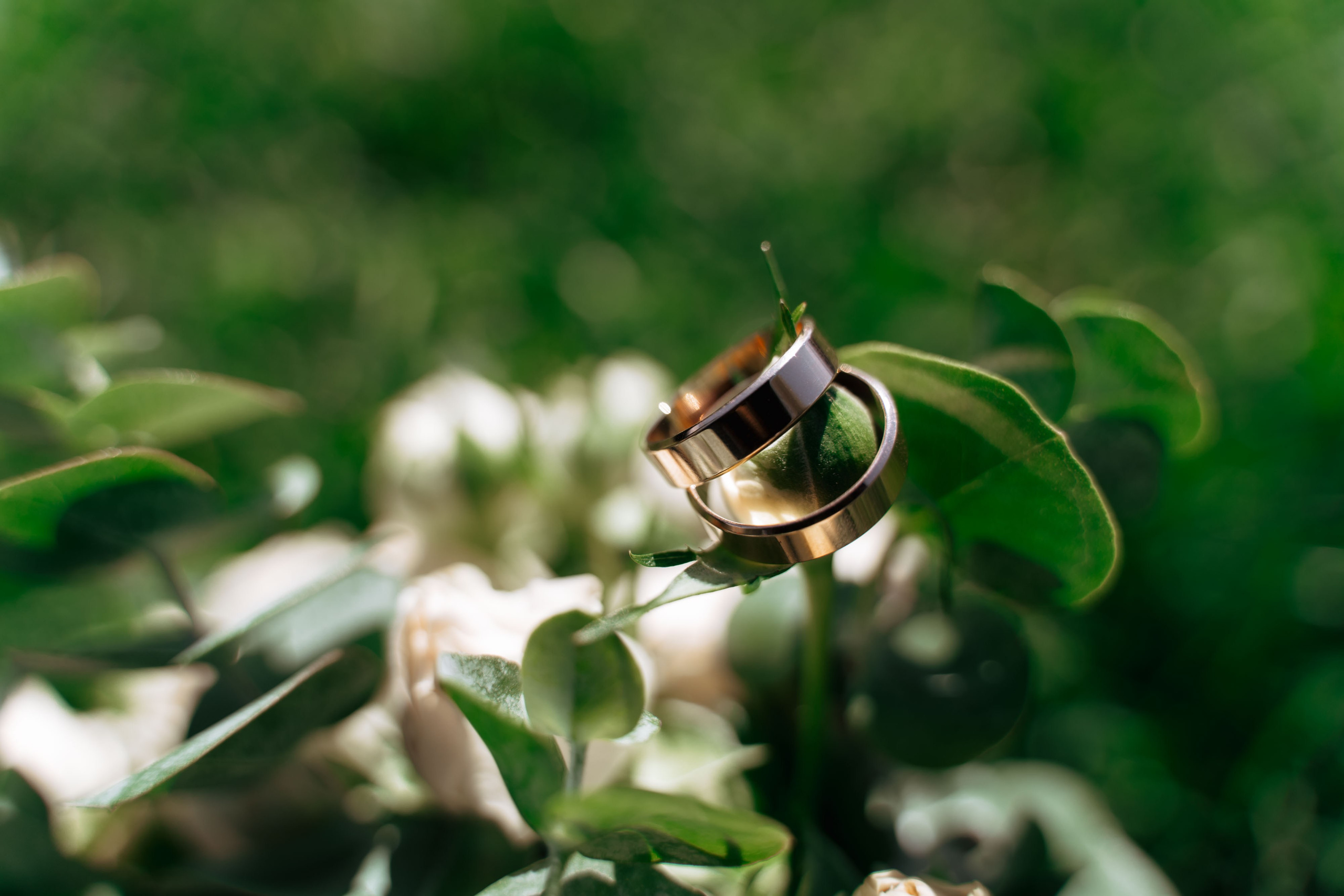 Екатерина и Олег. Семейный фотограф Новочеркасск