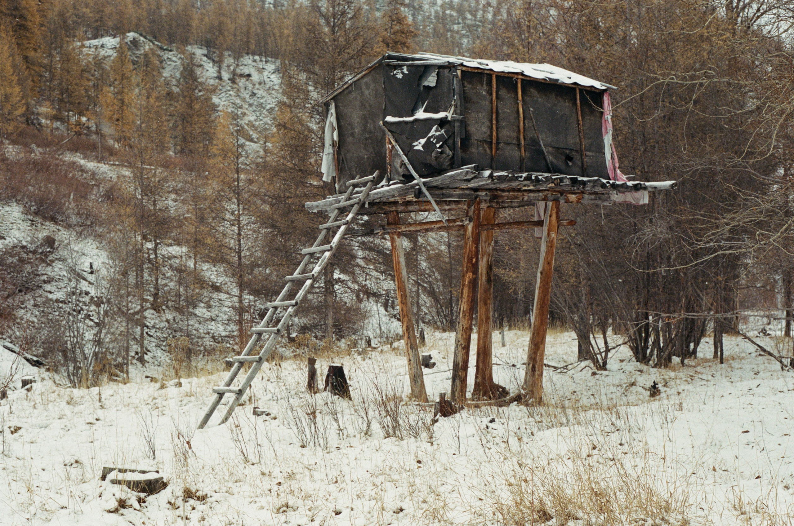 Не забудь накормить озеро. Natalya Madilyan