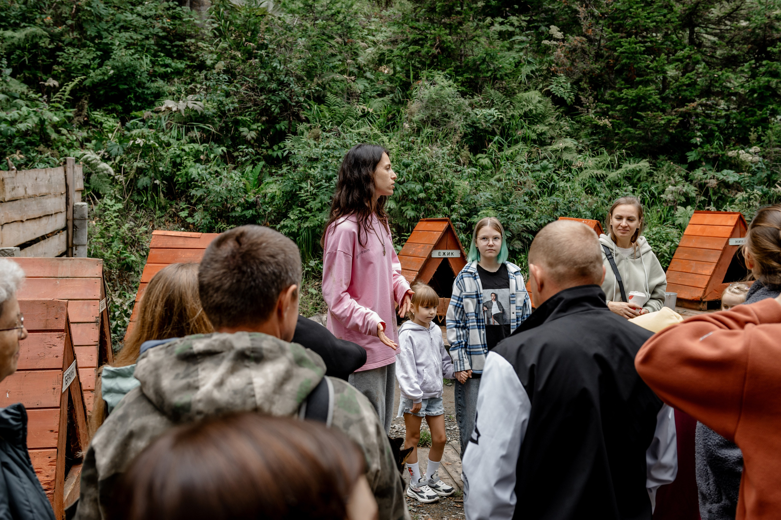 Дог-треккинг