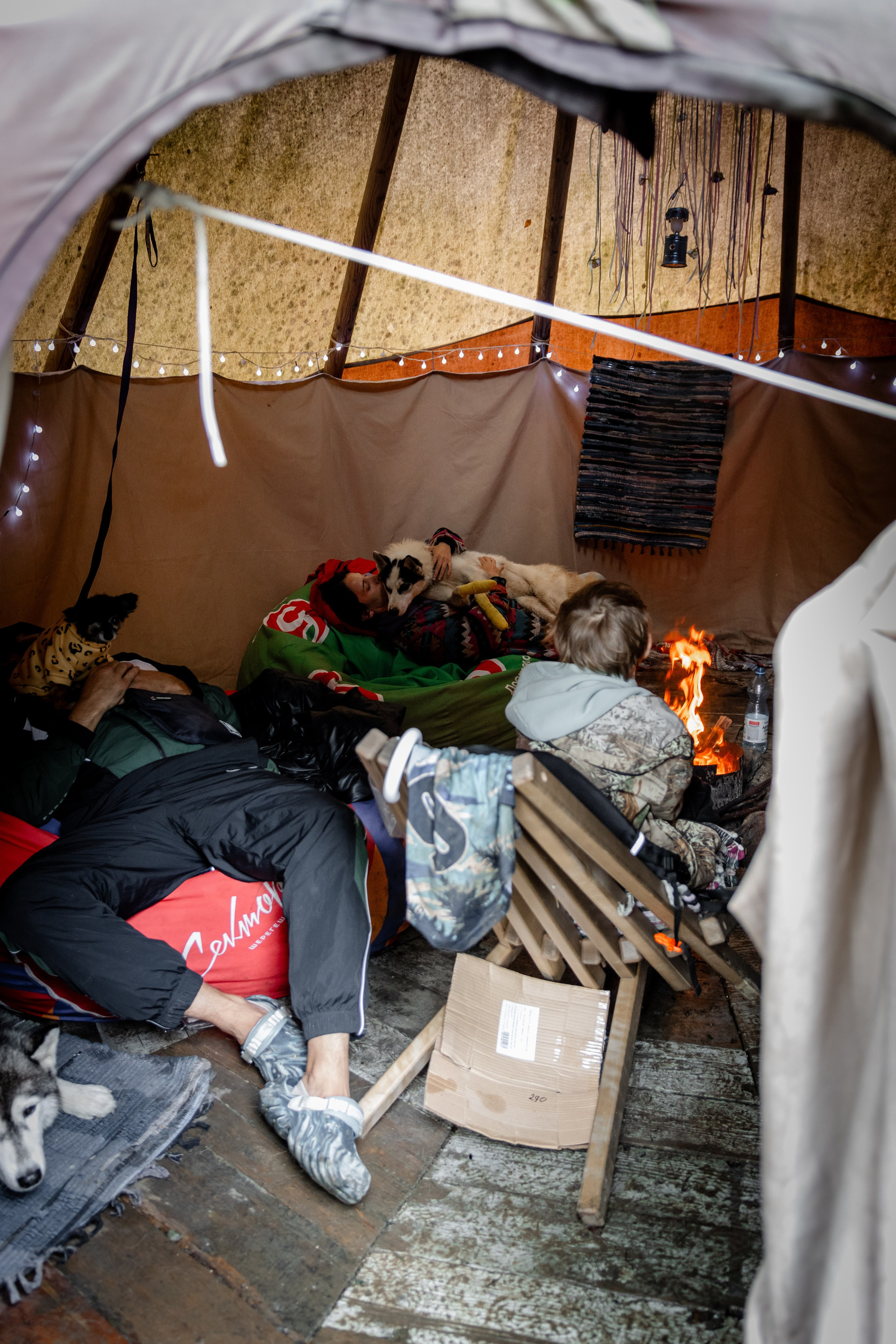 Дог-треккинг