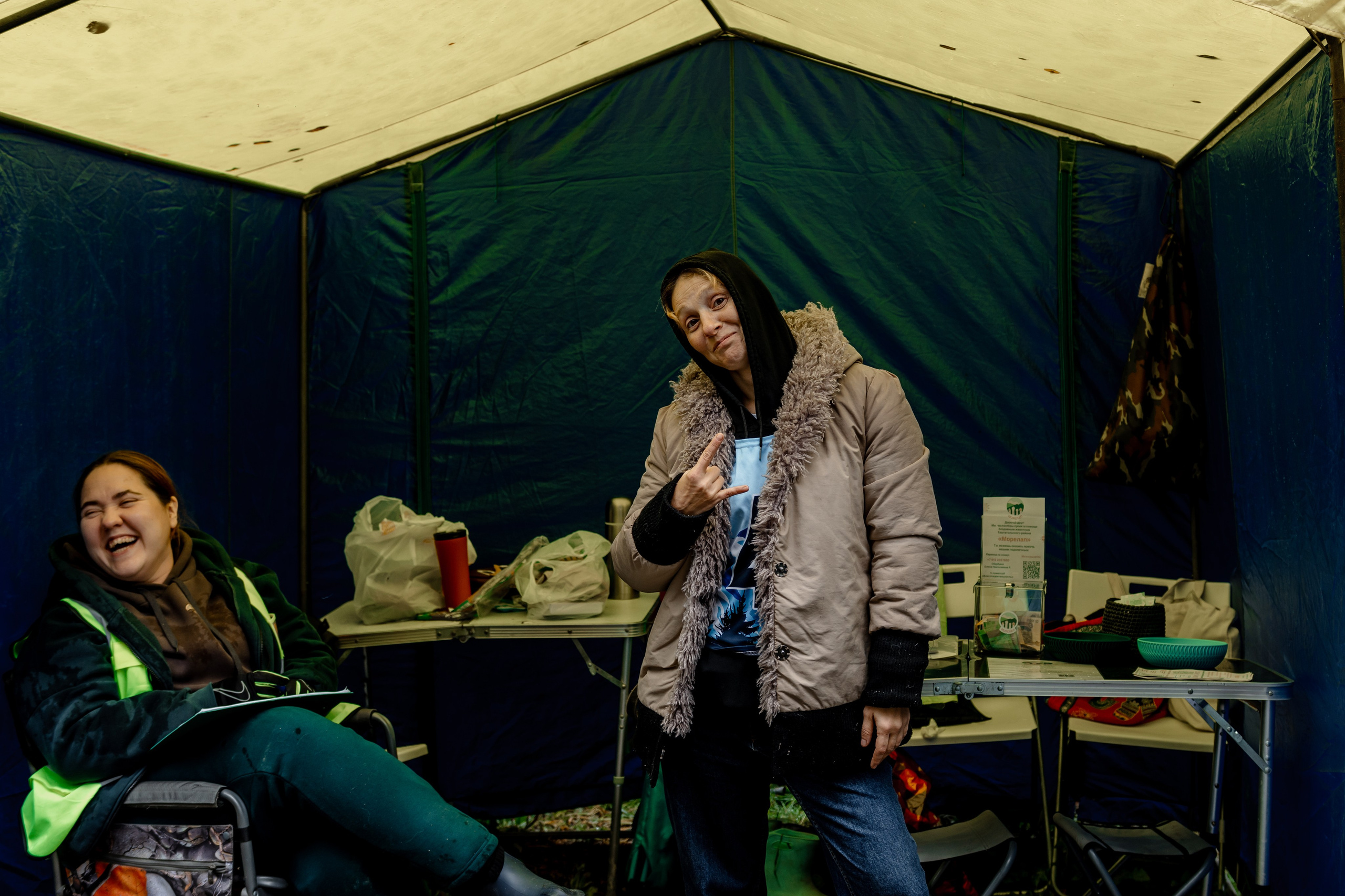 Дог-треккинг