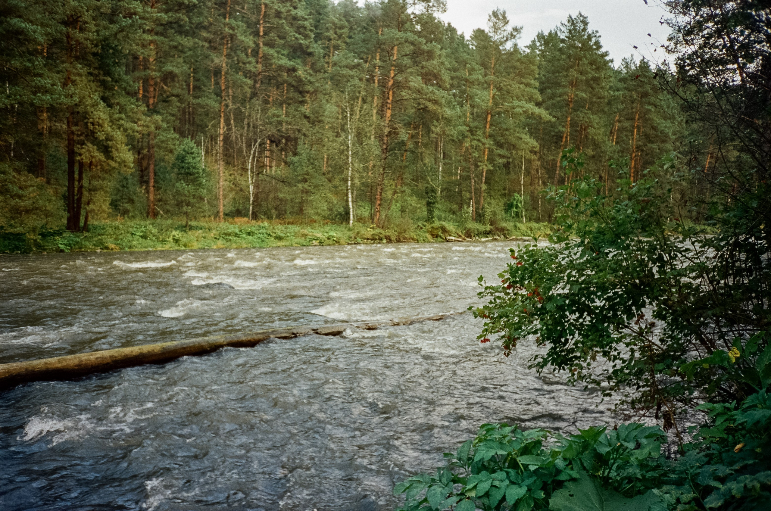 Ботанический сад и река Сема. Фотограф-документалист Мария Осокина