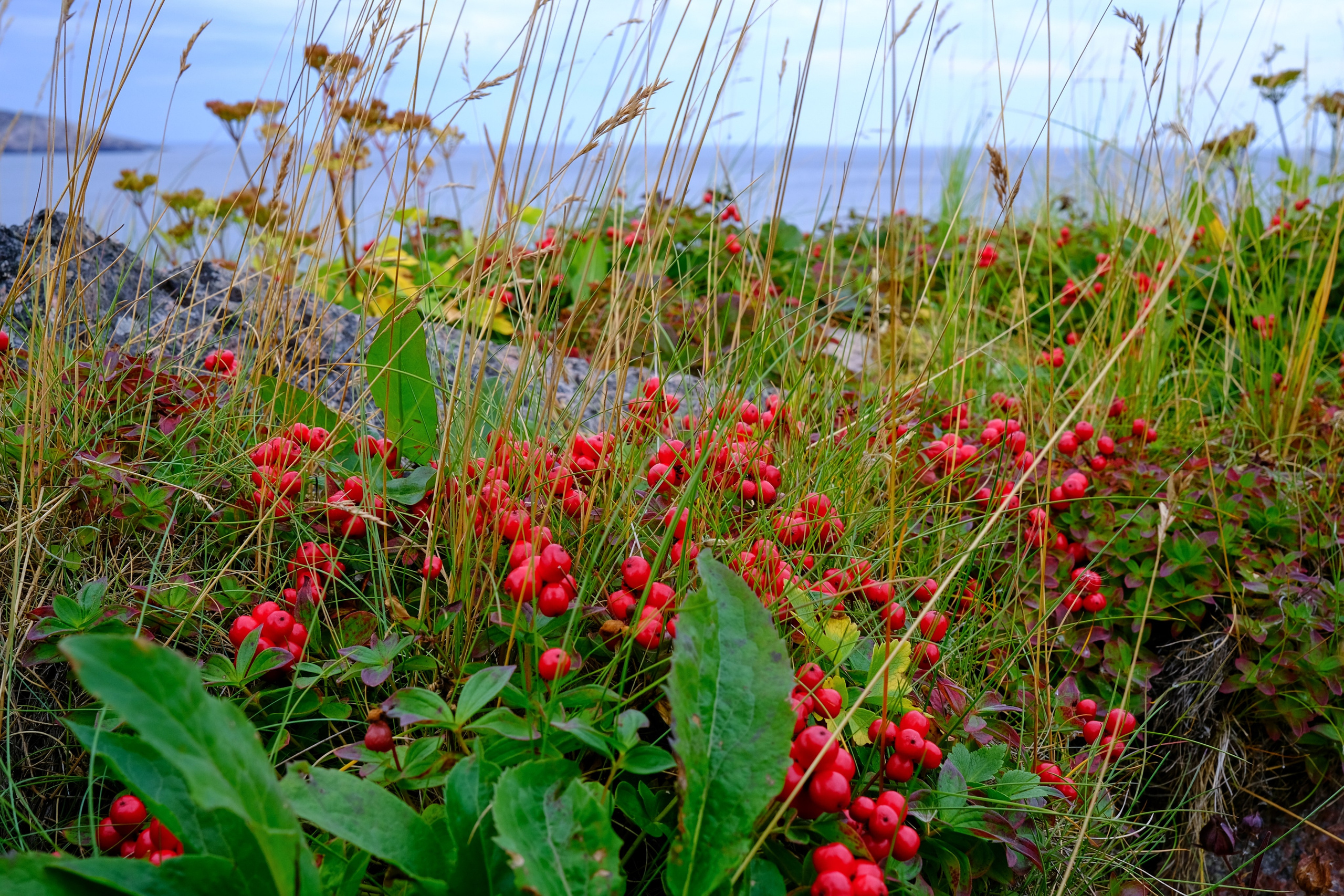 Териберка. Пейзажи Крайнего Севера. Баренцево море, Рыбачий, Средний, Немецкий