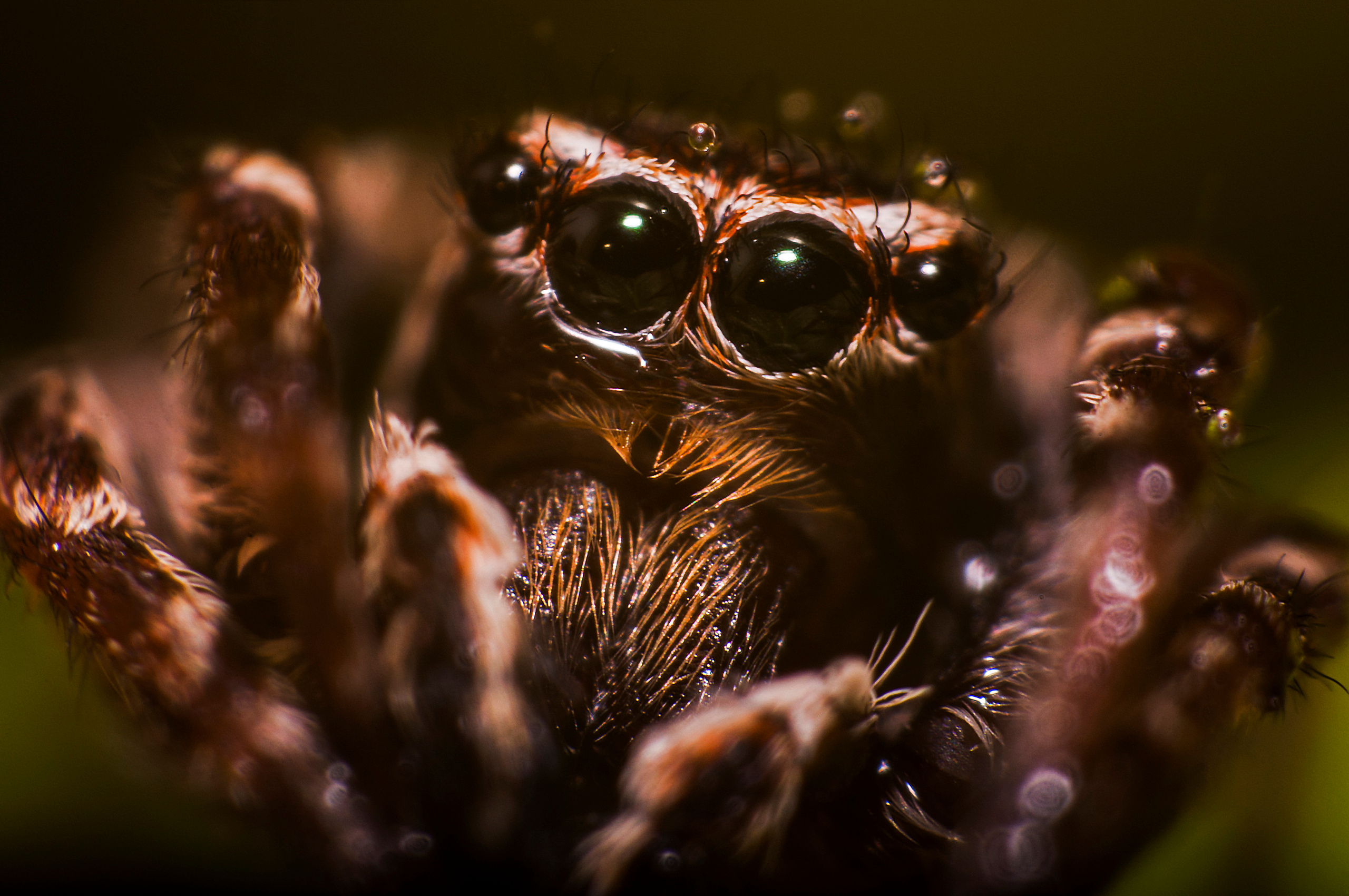 Природный фотограф в Казани. Спортивный и репортажный фотограф Рустам Афлятунов в Казани