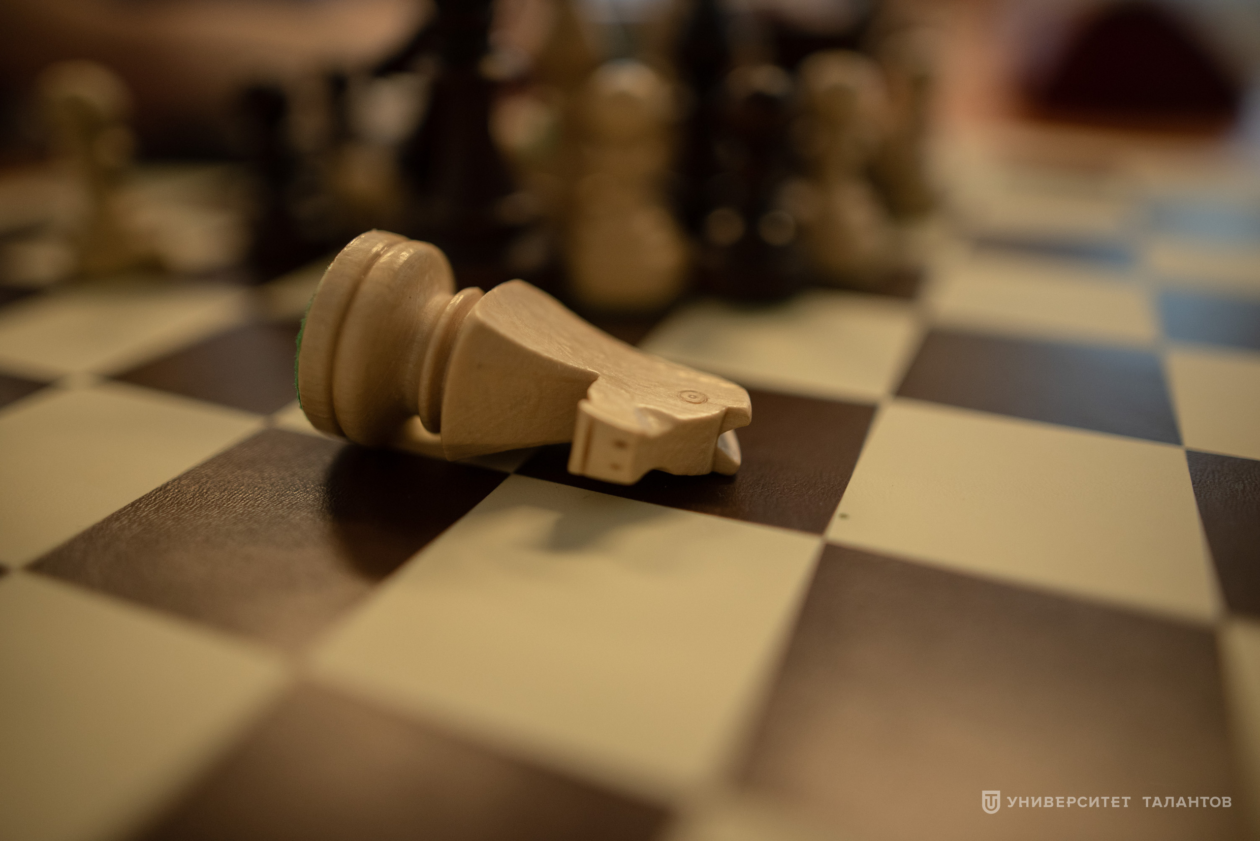 Репортажный фотограф Рустам Афлятунов в Казани. Спортивный и репортажный фотограф Рустам Афлятунов в Казани