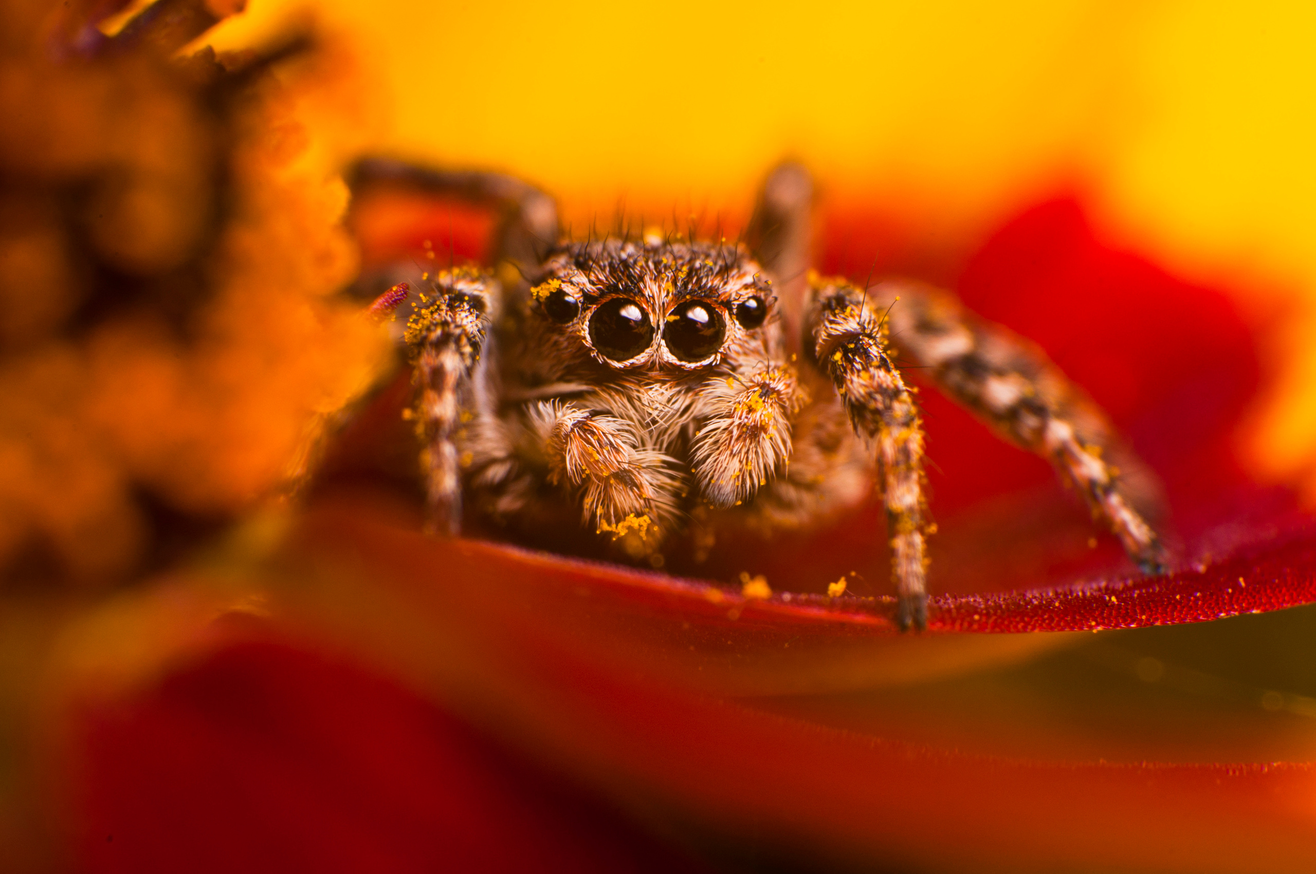 Природный фотограф в Казани. Спортивный и репортажный фотограф Рустам Афлятунов в Казани