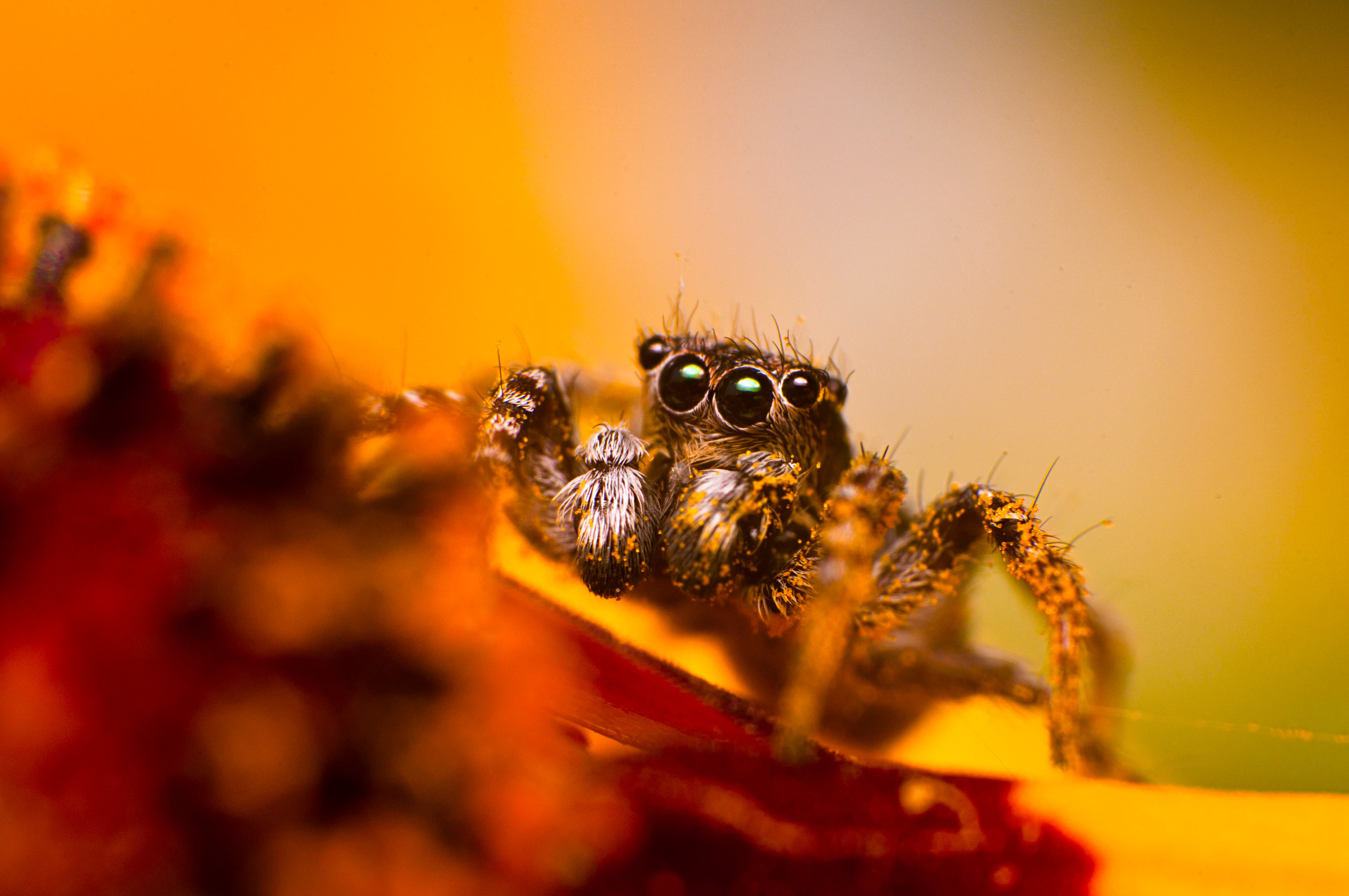 Природный фотограф в Казани. Спортивный и репортажный фотограф Рустам Афлятунов в Казани