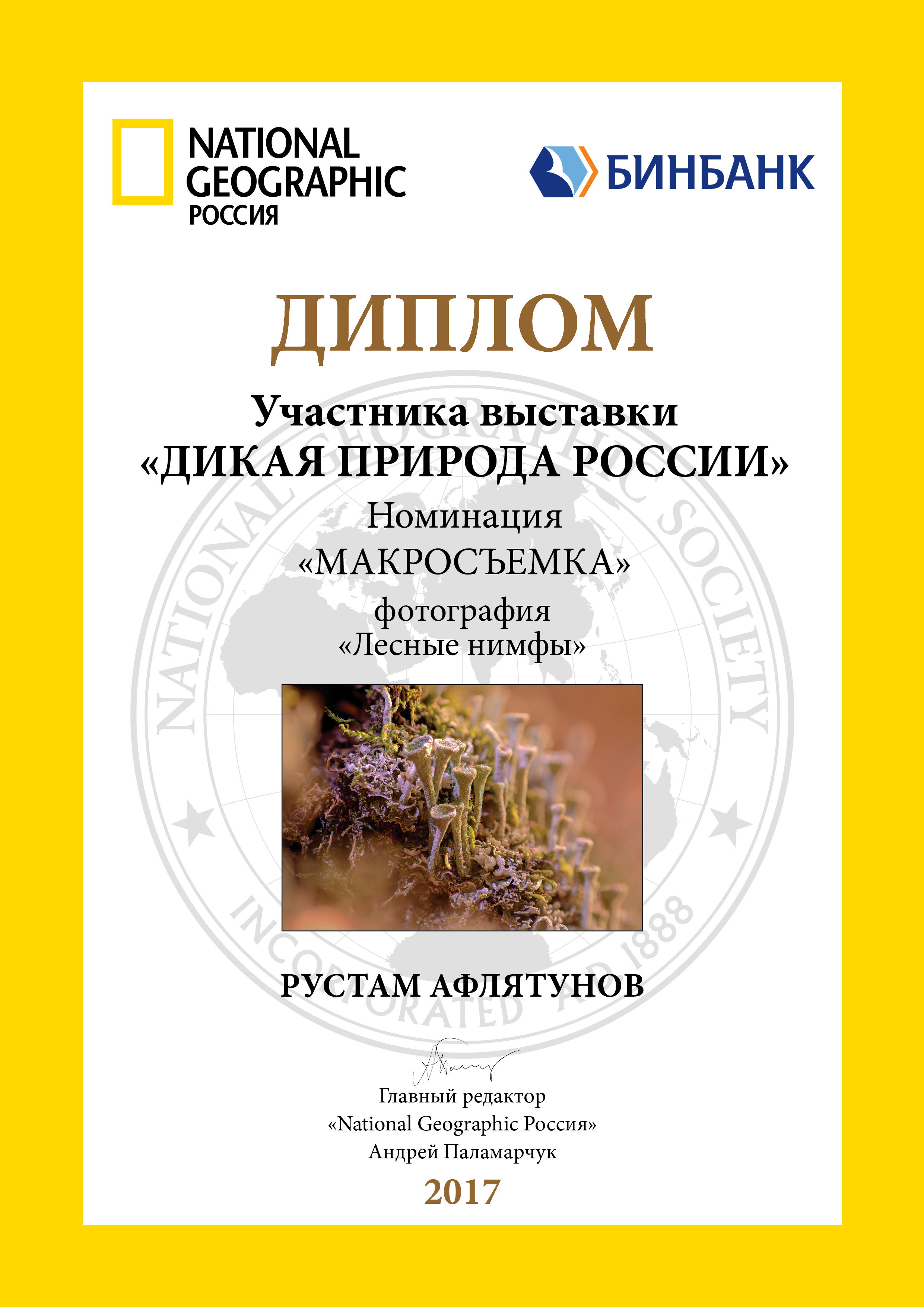 The winner of the photo contest "Nature is looking at you" Viasat Nature HD. Professional photographer Rustam Aflyatunov from Kazan