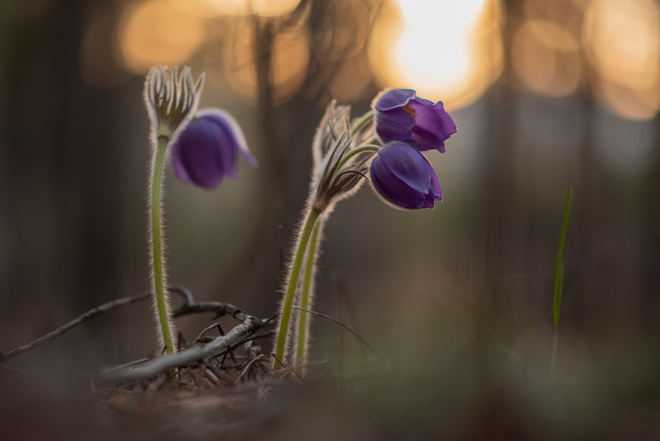 Природный фотограф в Казани. Спортивный и репортажный фотограф Рустам Афлятунов в Казани
